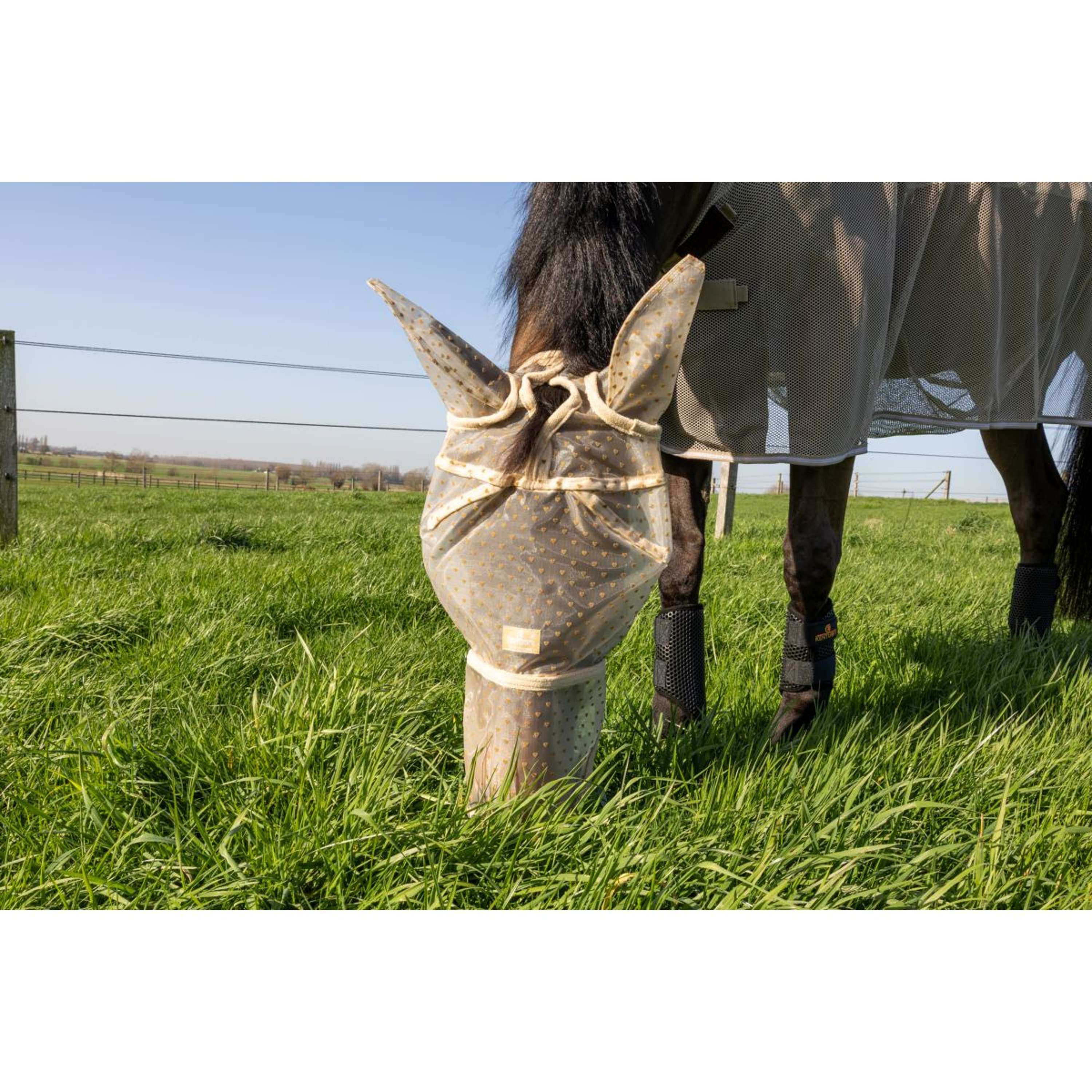 Kentucky Fly Mask Heart with Ears and Nose Beige