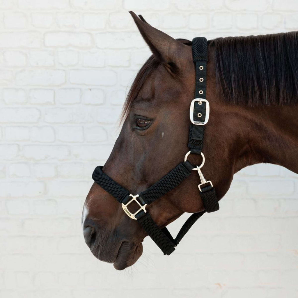 Kentucky Halter 3D Mesh Black