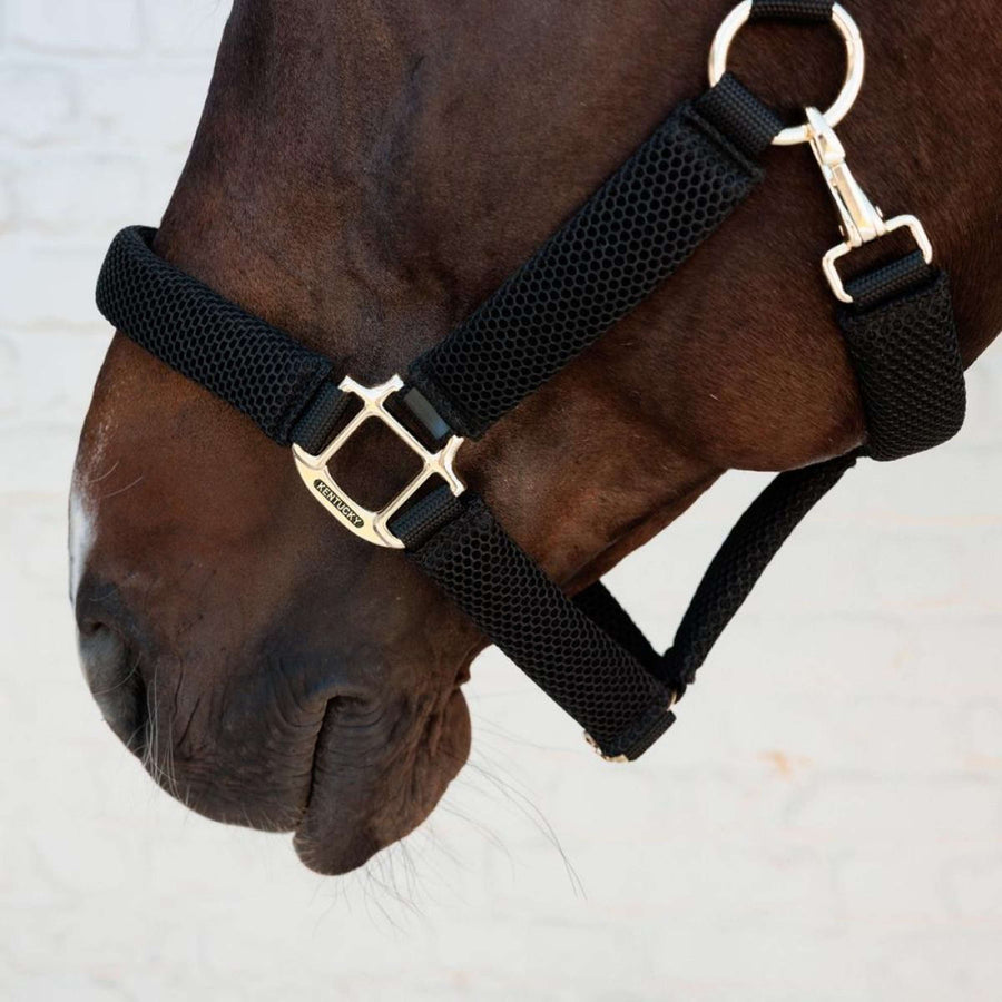 Kentucky Halter 3D Mesh Black
