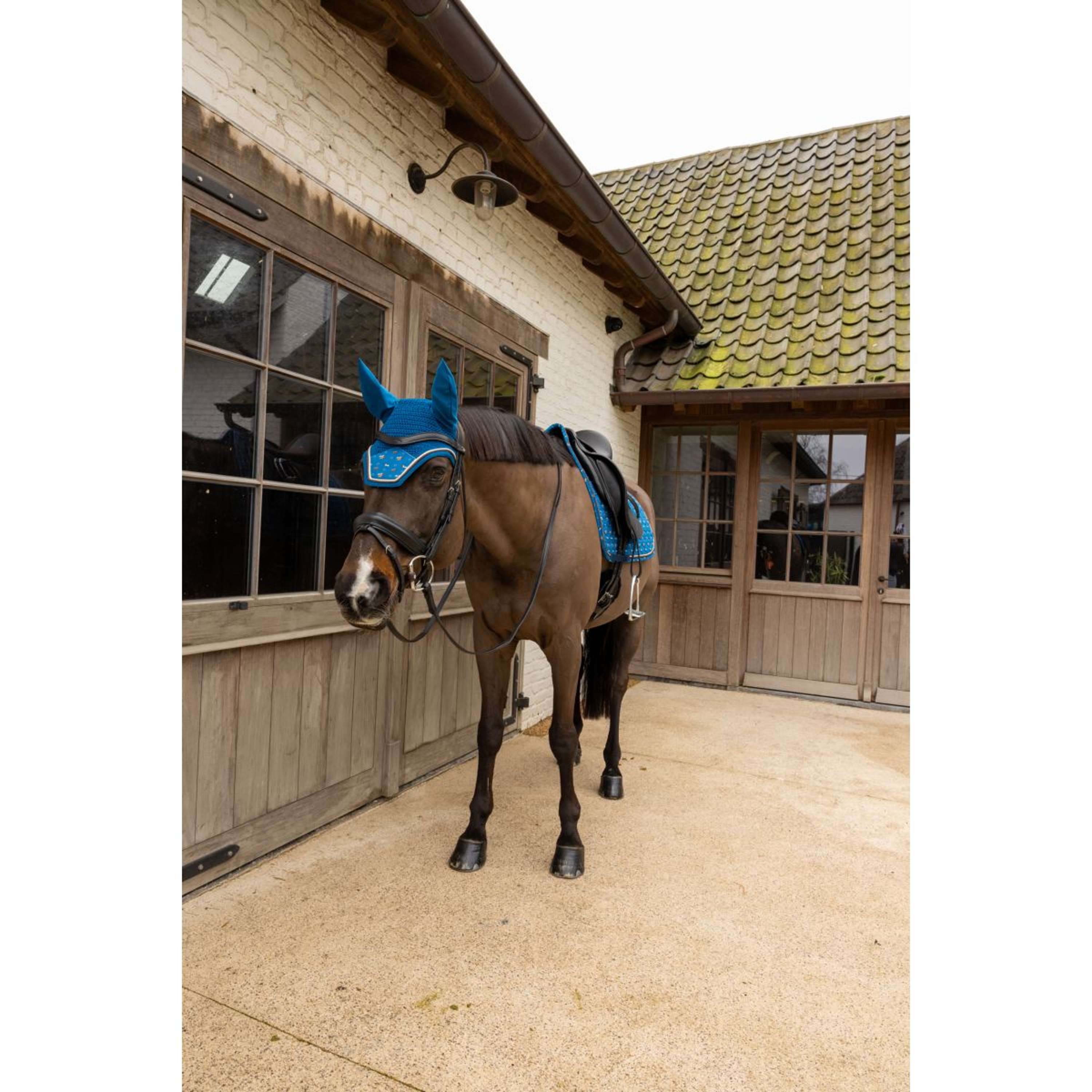 Kentucky Ear Bonnet Wellington Velvet Horse Printing Navy