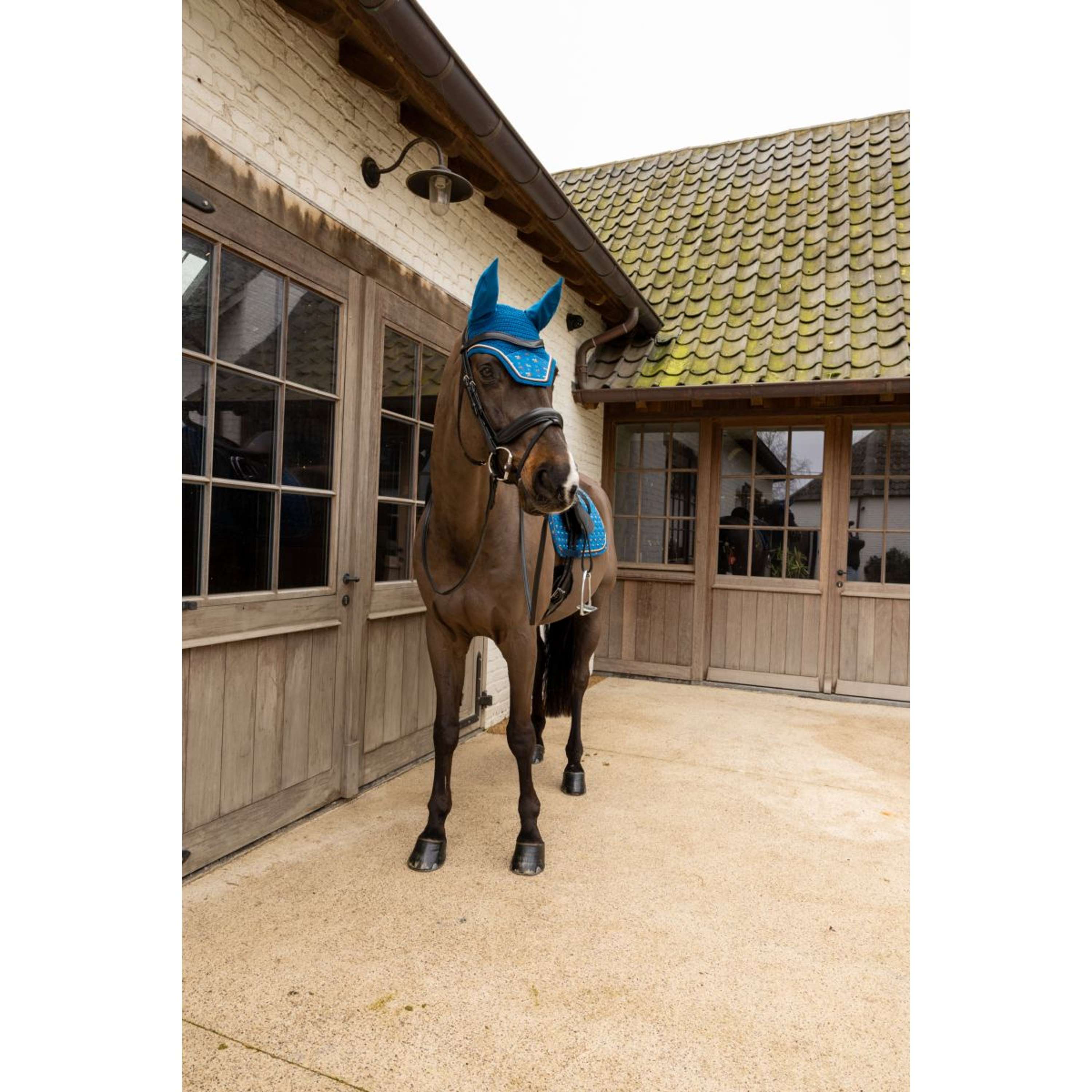 Kentucky Ear Bonnet Wellington Velvet Horse Printing Navy