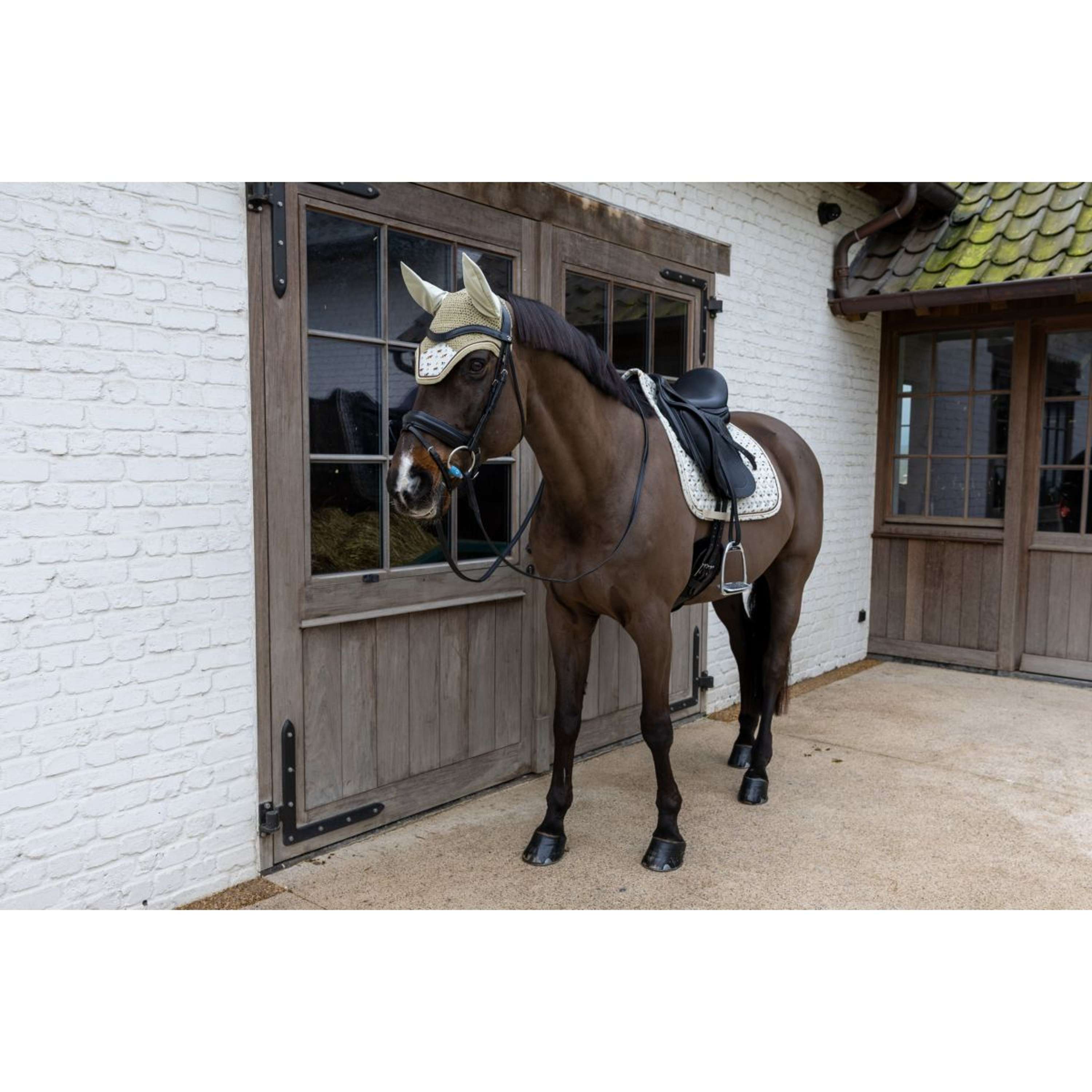 Kentucky Ear Bonnet Wellington Velvet Horse Printing Beige
