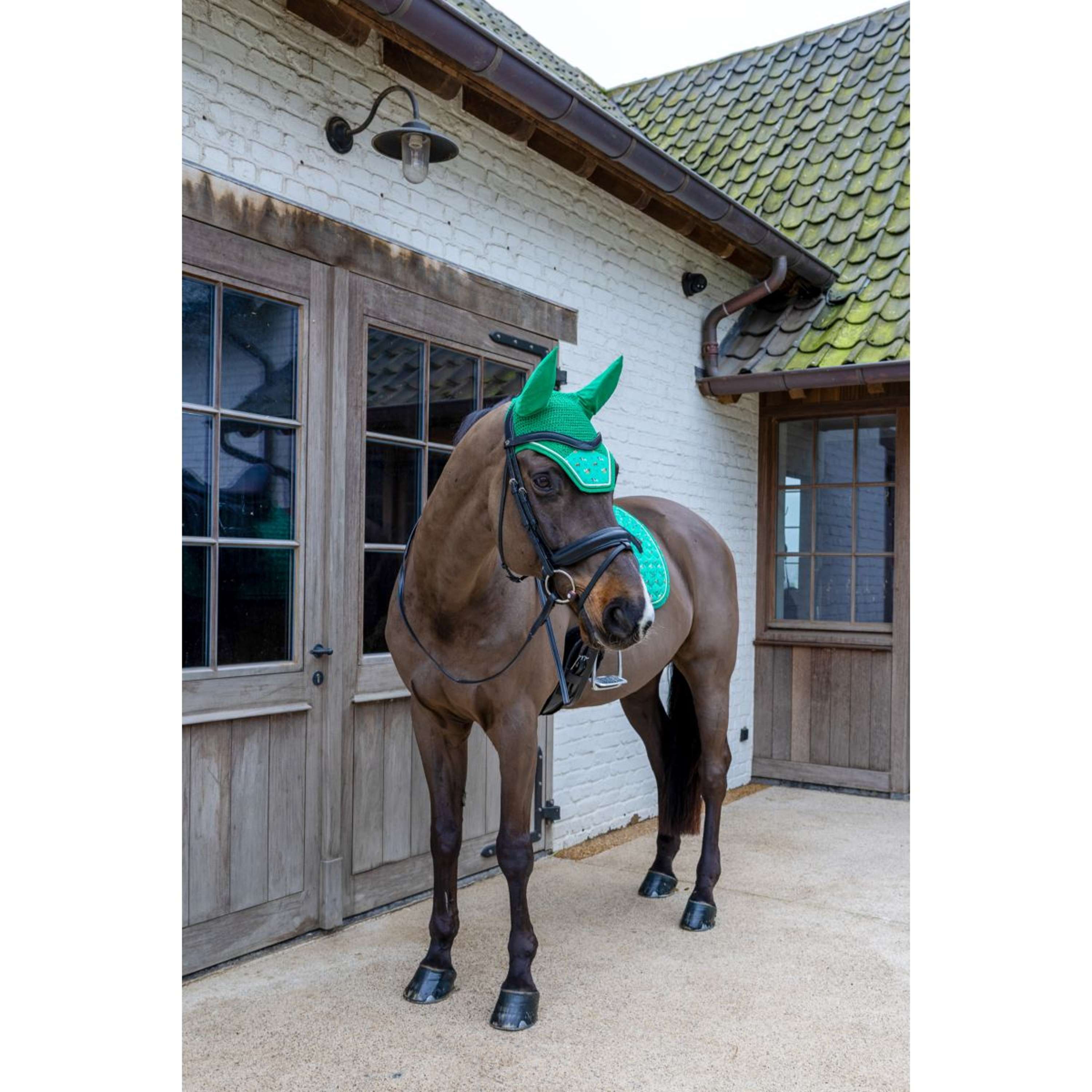 Kentucky Ear Bonnet Wellington Velvet Horse Printing Green