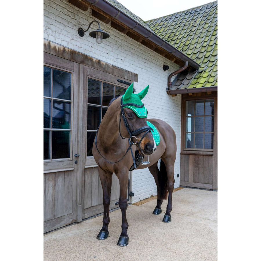 Kentucky Ear Bonnet Wellington Velvet Horse Printing Green