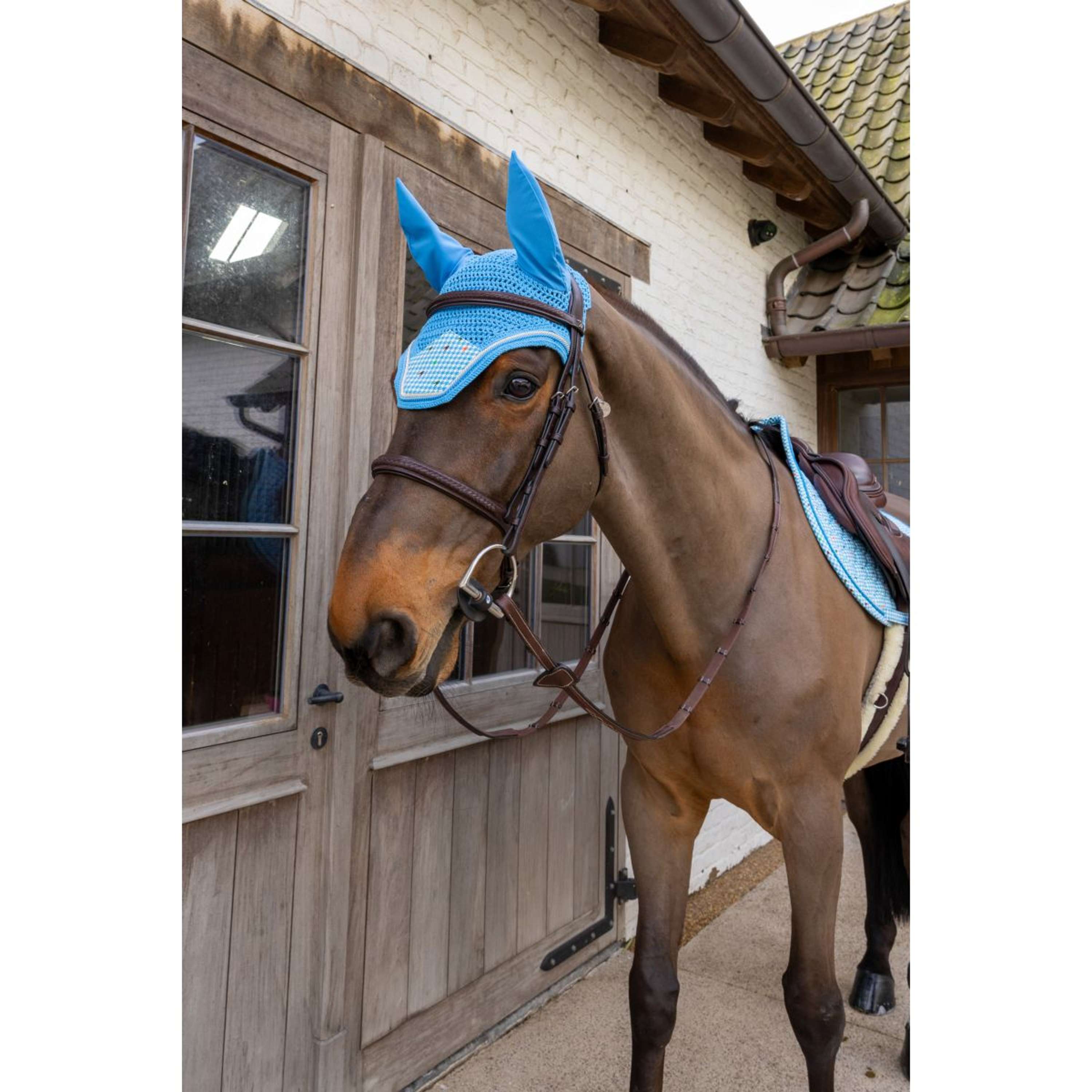 Kentucky Ear Bonnet Wellington Velvet Pied De Poule Navy