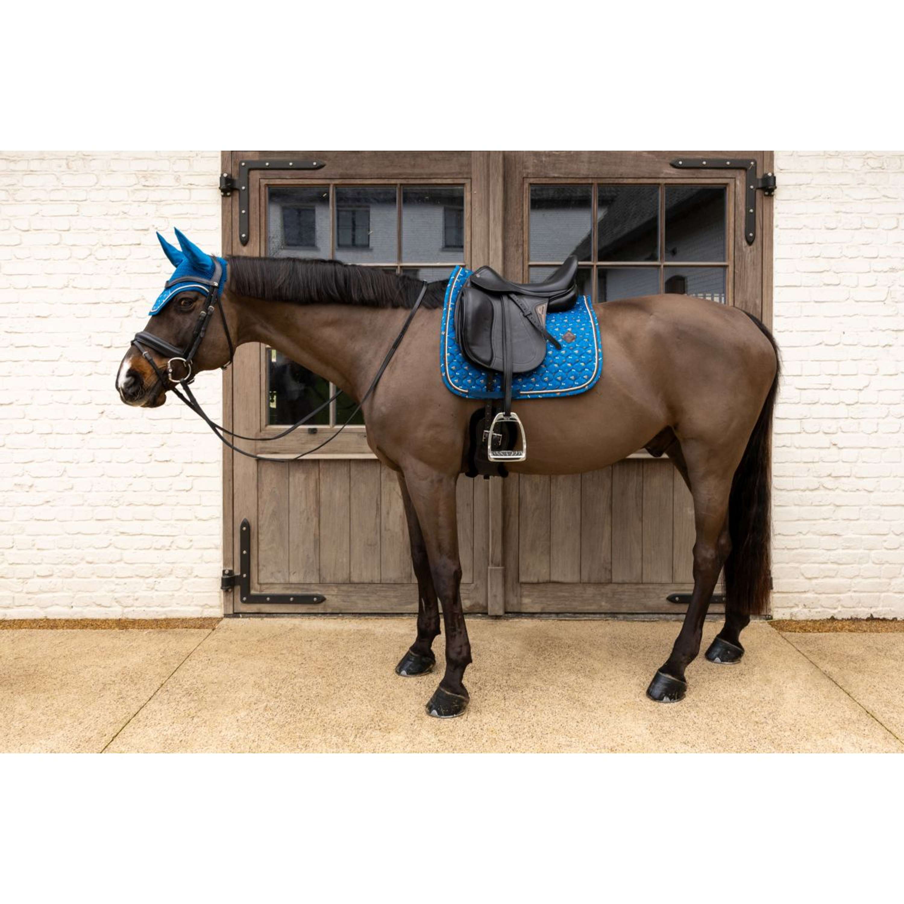Kentucky Saddlepad Velvet Horse Printing Dressage Navy