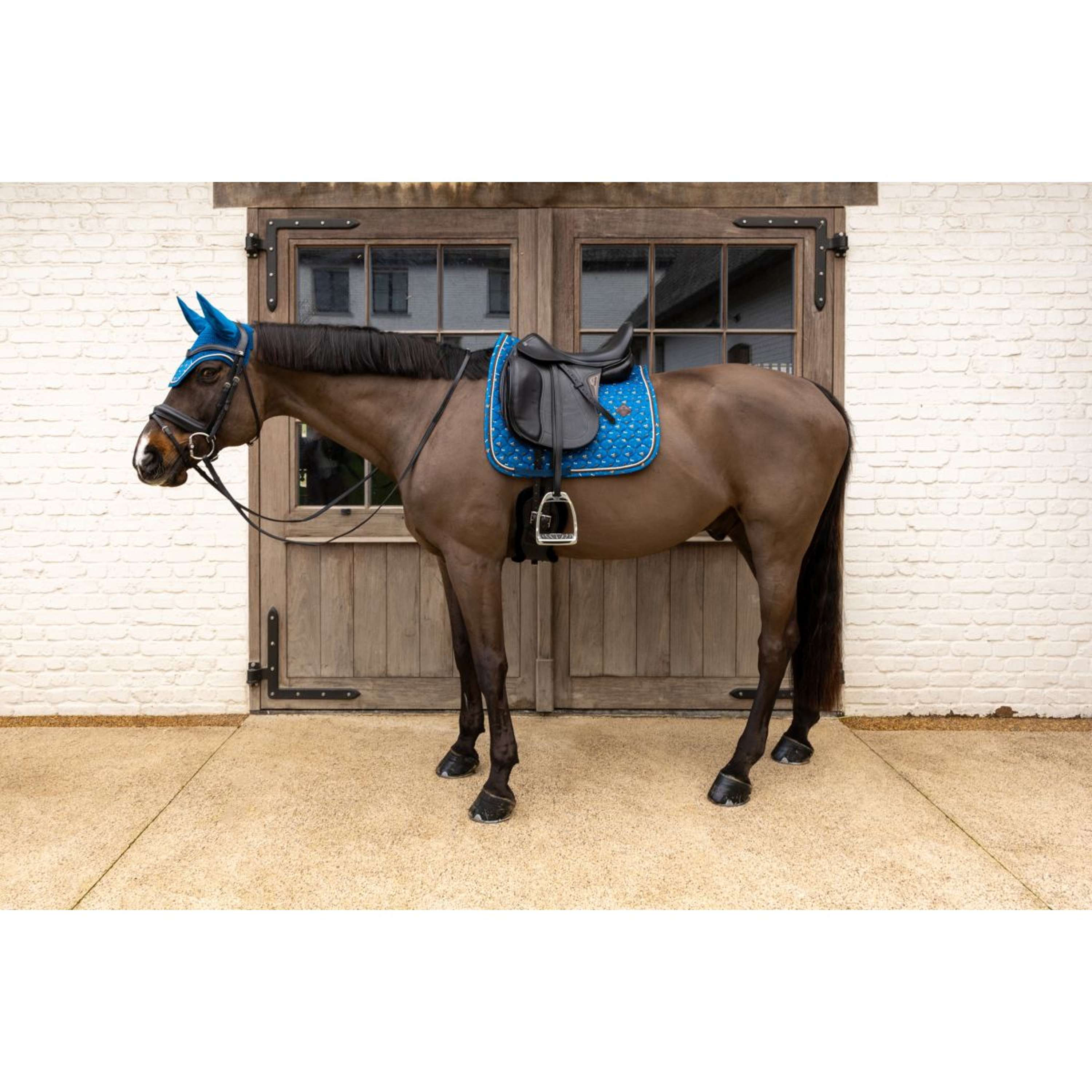Kentucky Saddlepad Velvet Horse Printing Dressage Navy