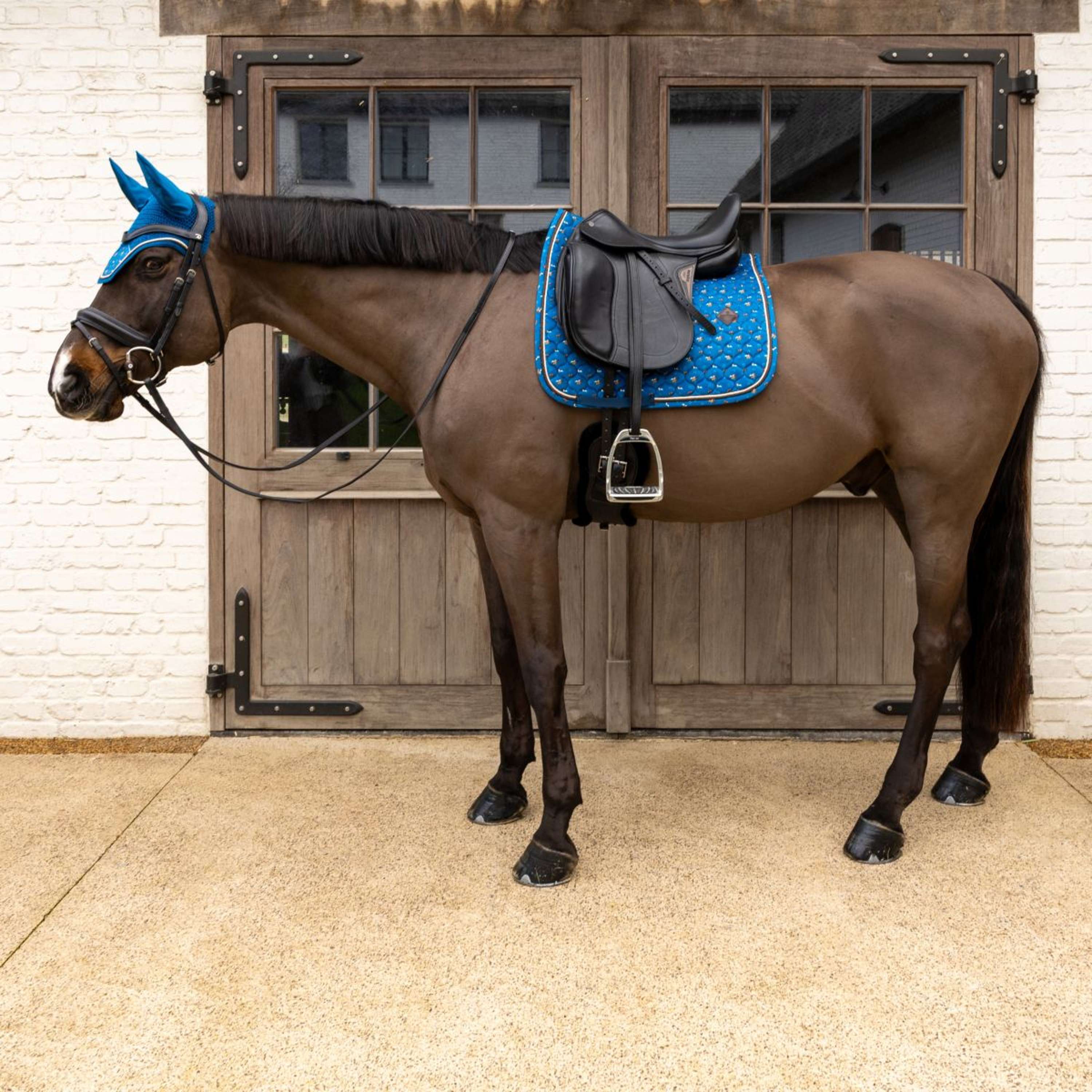 Kentucky Saddlepad Velvet Horse Printing Dressage Navy
