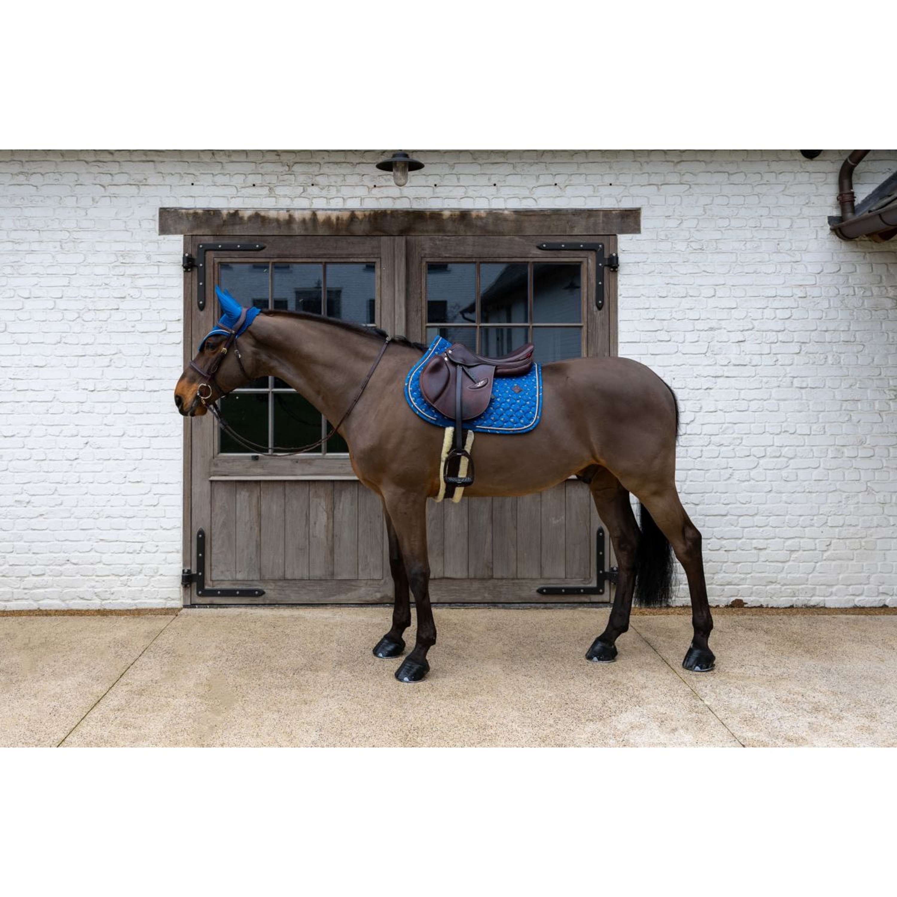Kentucky Saddlepad Velvet Horse Printing Jumping Navy