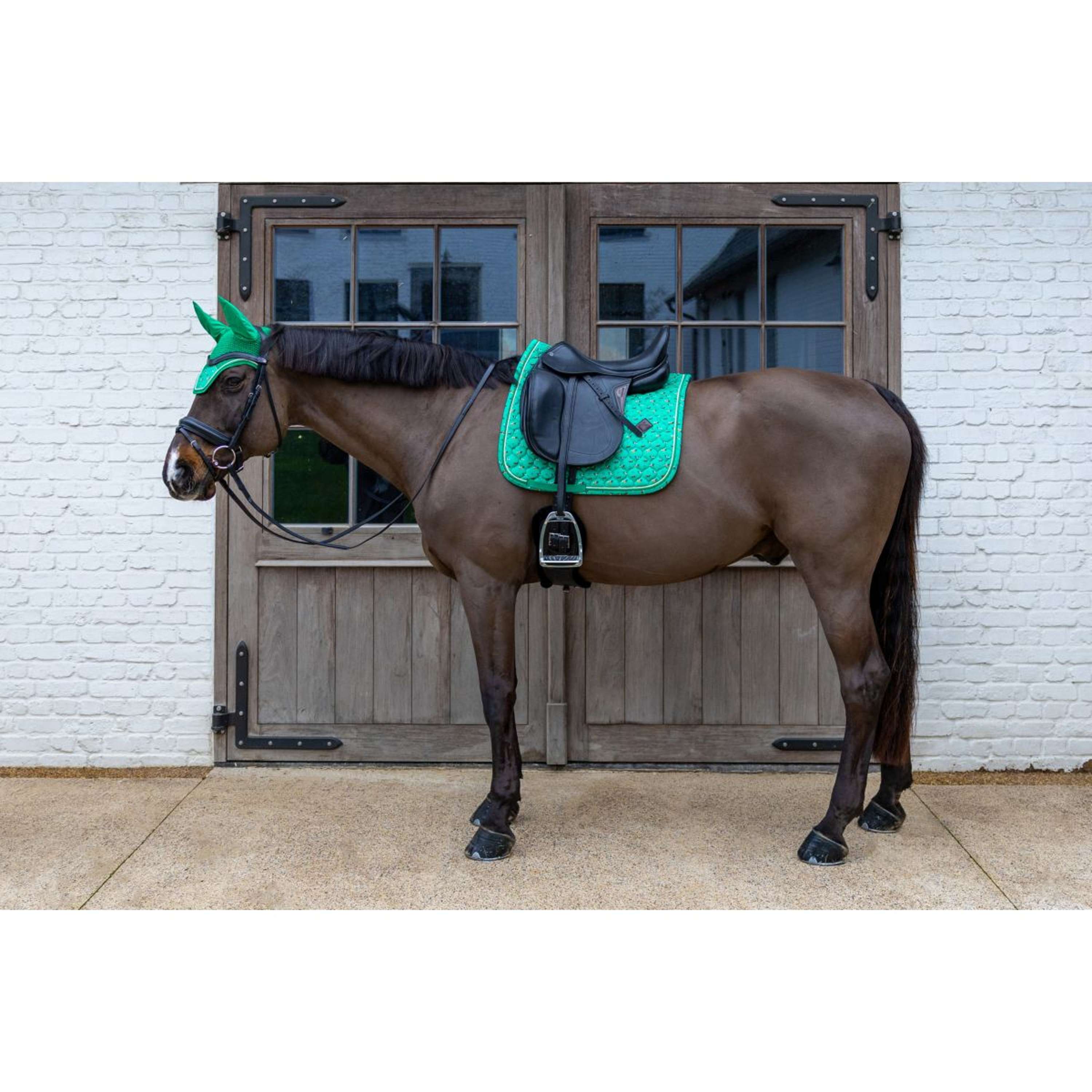 Kentucky Saddlepad Velvet Horse Printing Dressage Green