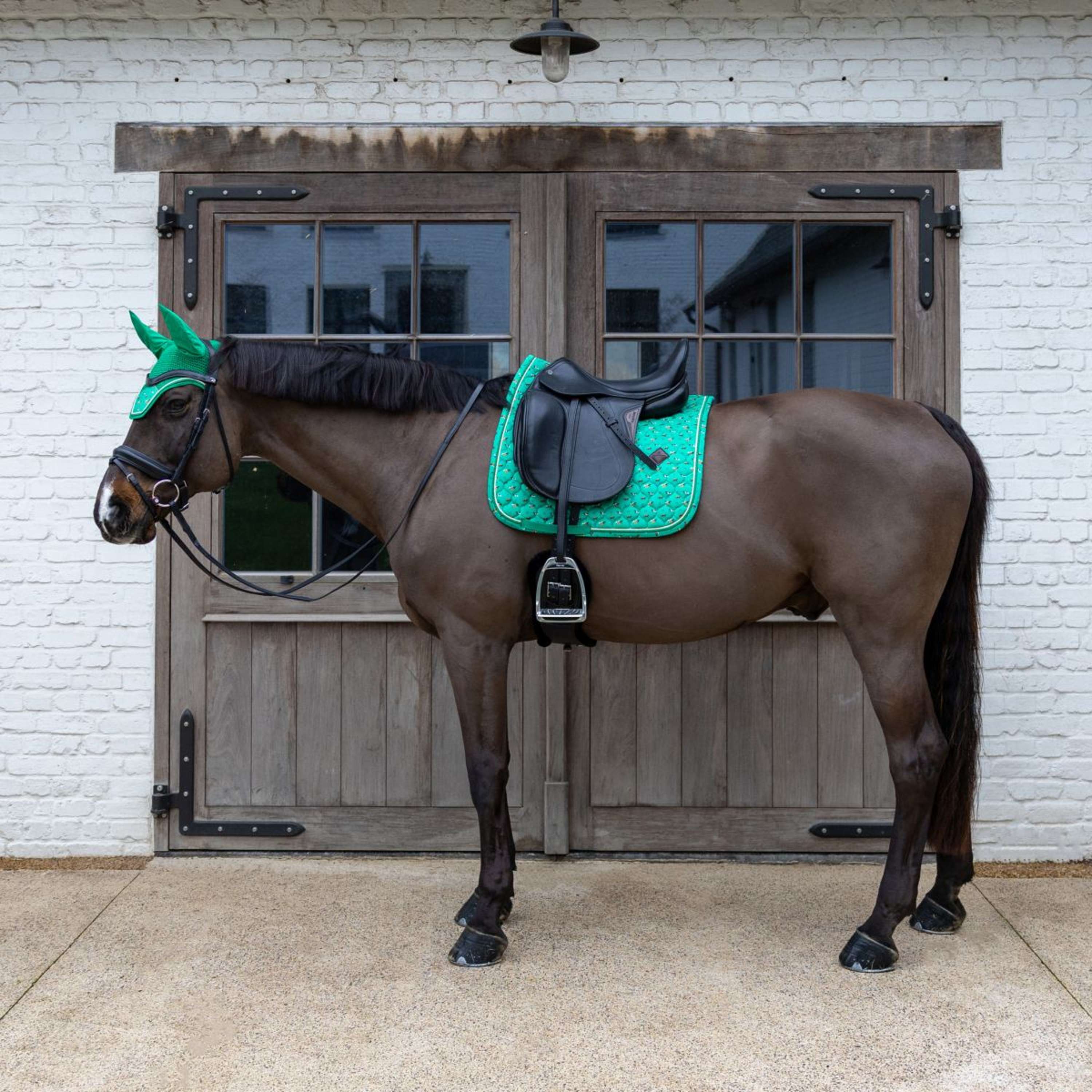 Kentucky Saddlepad Velvet Horse Printing Dressage Green