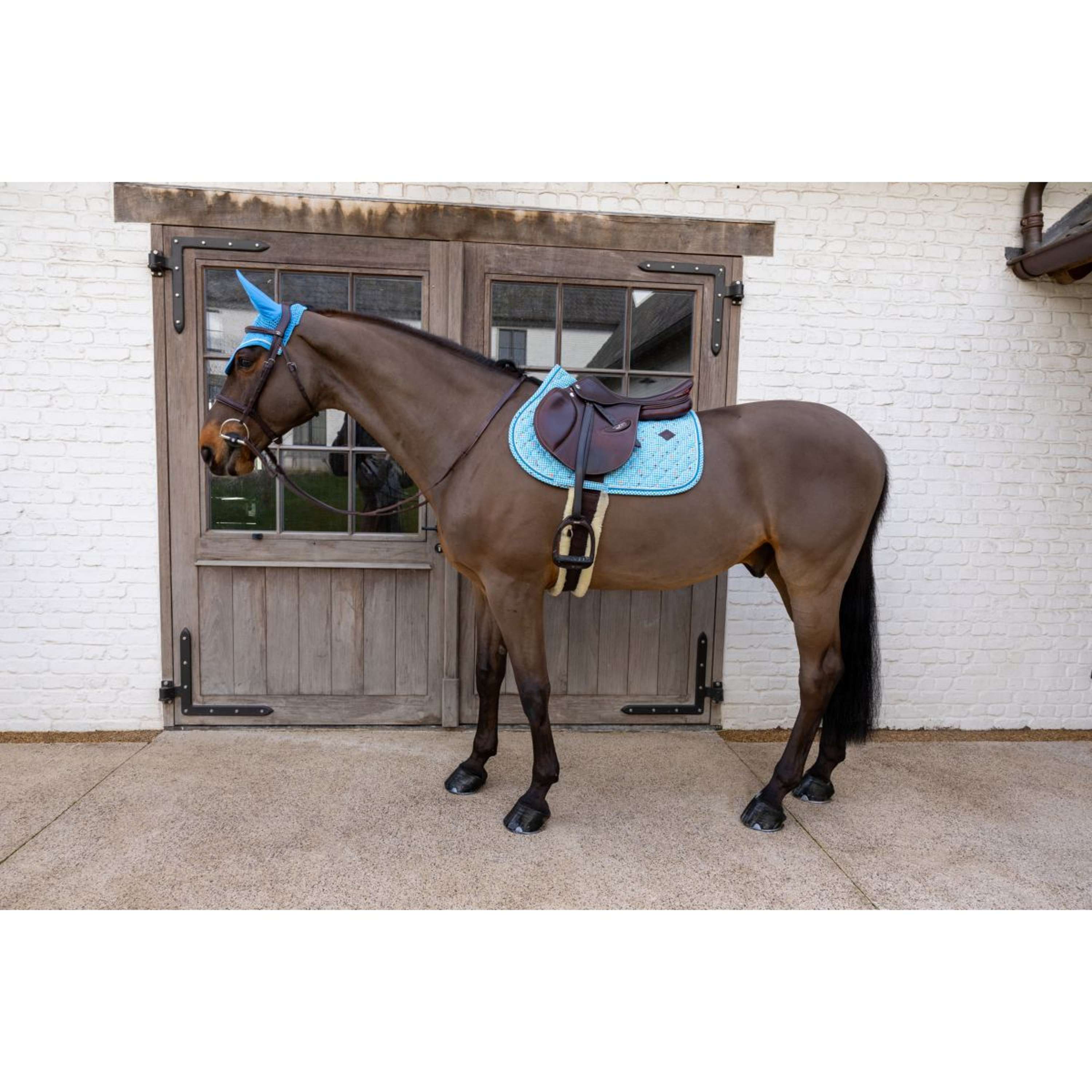 Kentucky Saddlepad Velvet Pied De Poule Jumping Navy