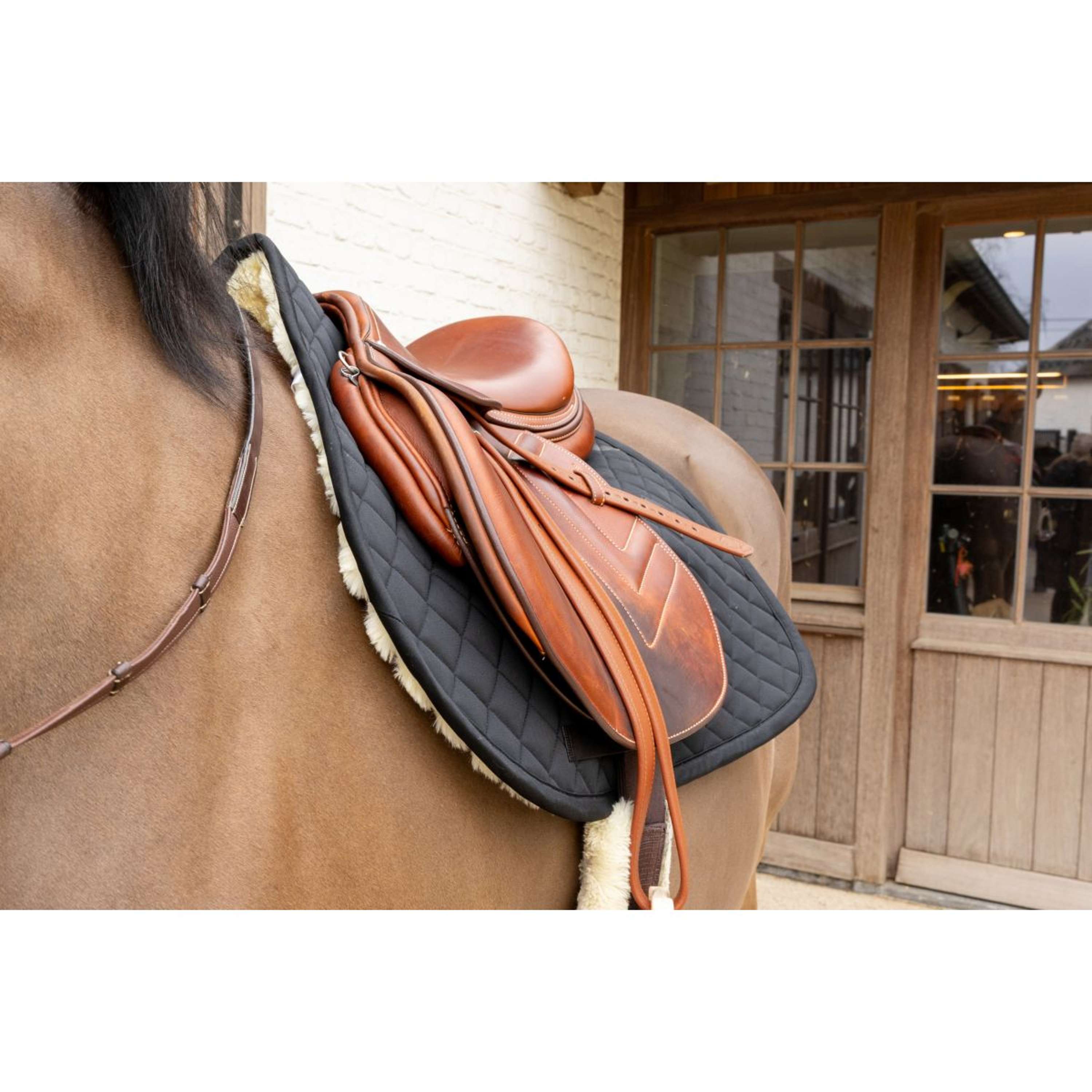Kentucky Saddlepad Skin Friendly Diamond Jumping Black