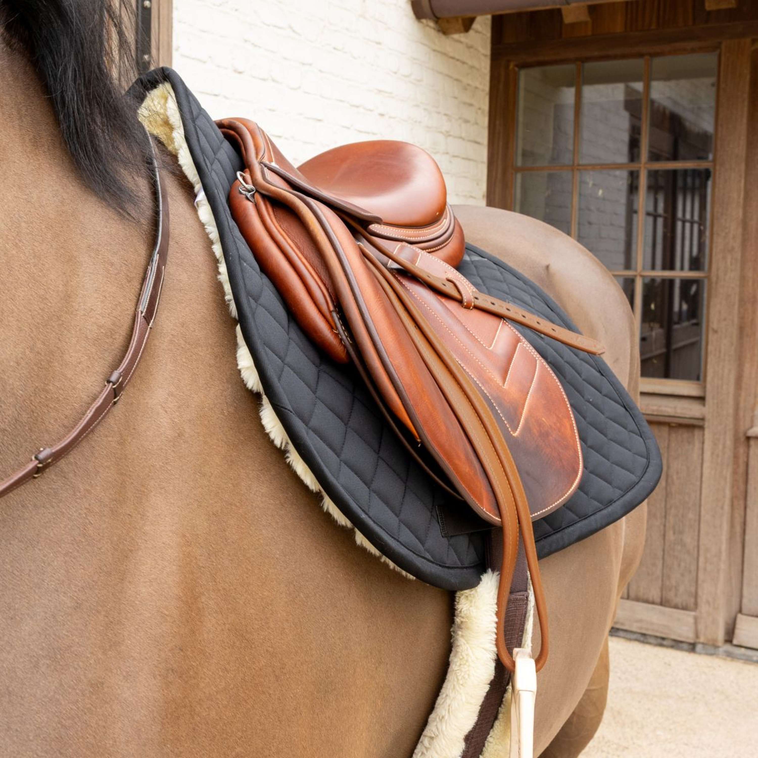 Kentucky Saddlepad Skin Friendly Diamond Jumping Black