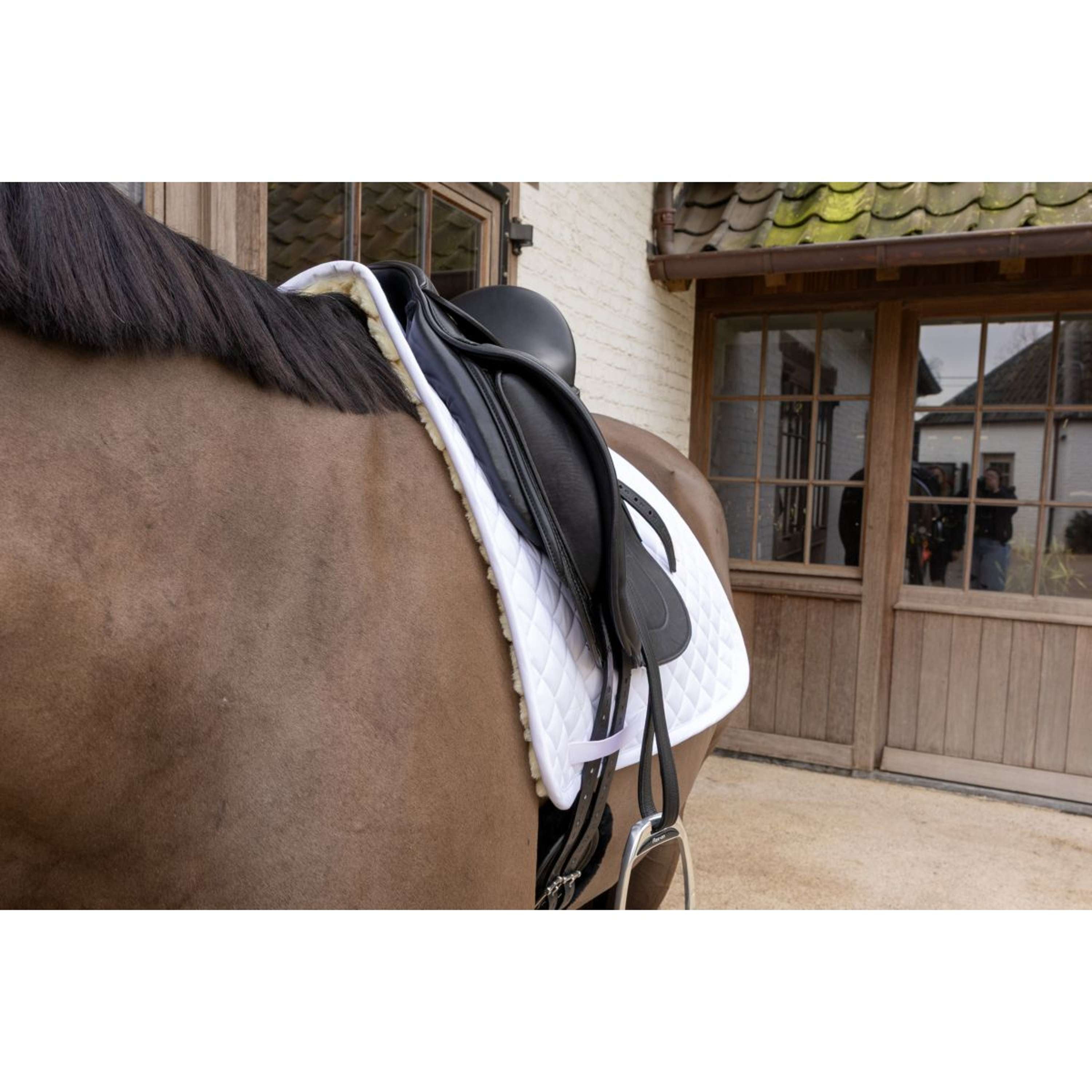Kentucky Saddlepad Skin Friendly Diamond Dressage White