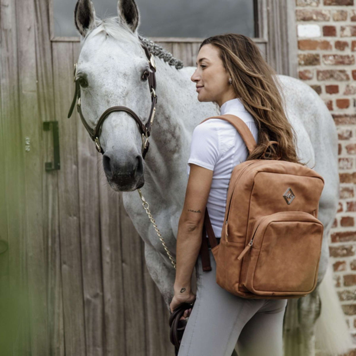 Grooming Deluxe by Kentucky Backpack Chestnut Brown