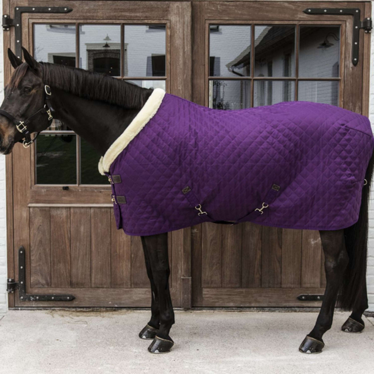 Kentucky Show Rug 160g Purple