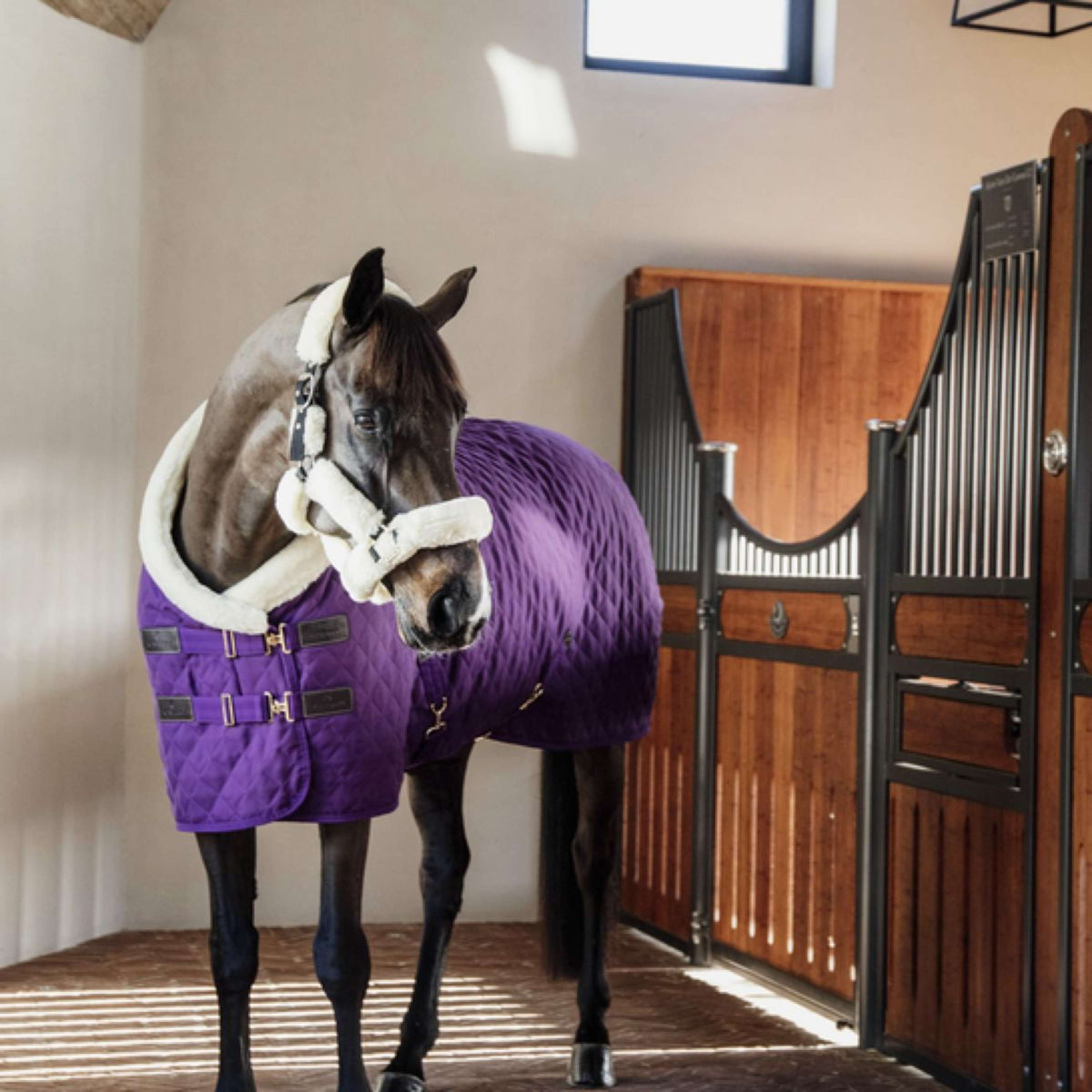 Kentucky Show Rug 160g Purple