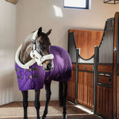 Kentucky Show Rug 160g Purple