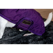 Kentucky Dog Coat Original Royal Purple