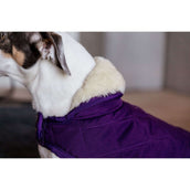 Kentucky Dog Coat Original Royal Purple