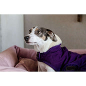 Kentucky Dog Coat Original Royal Purple