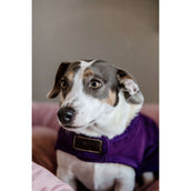 Kentucky Dog Coat Original Royal Purple