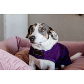 Kentucky Dog Coat Original Royal Purple