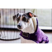 Kentucky Dog Coat Original Royal Purple