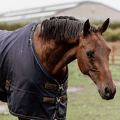 Kentucky Turnout Rug All Weather 0g Navy