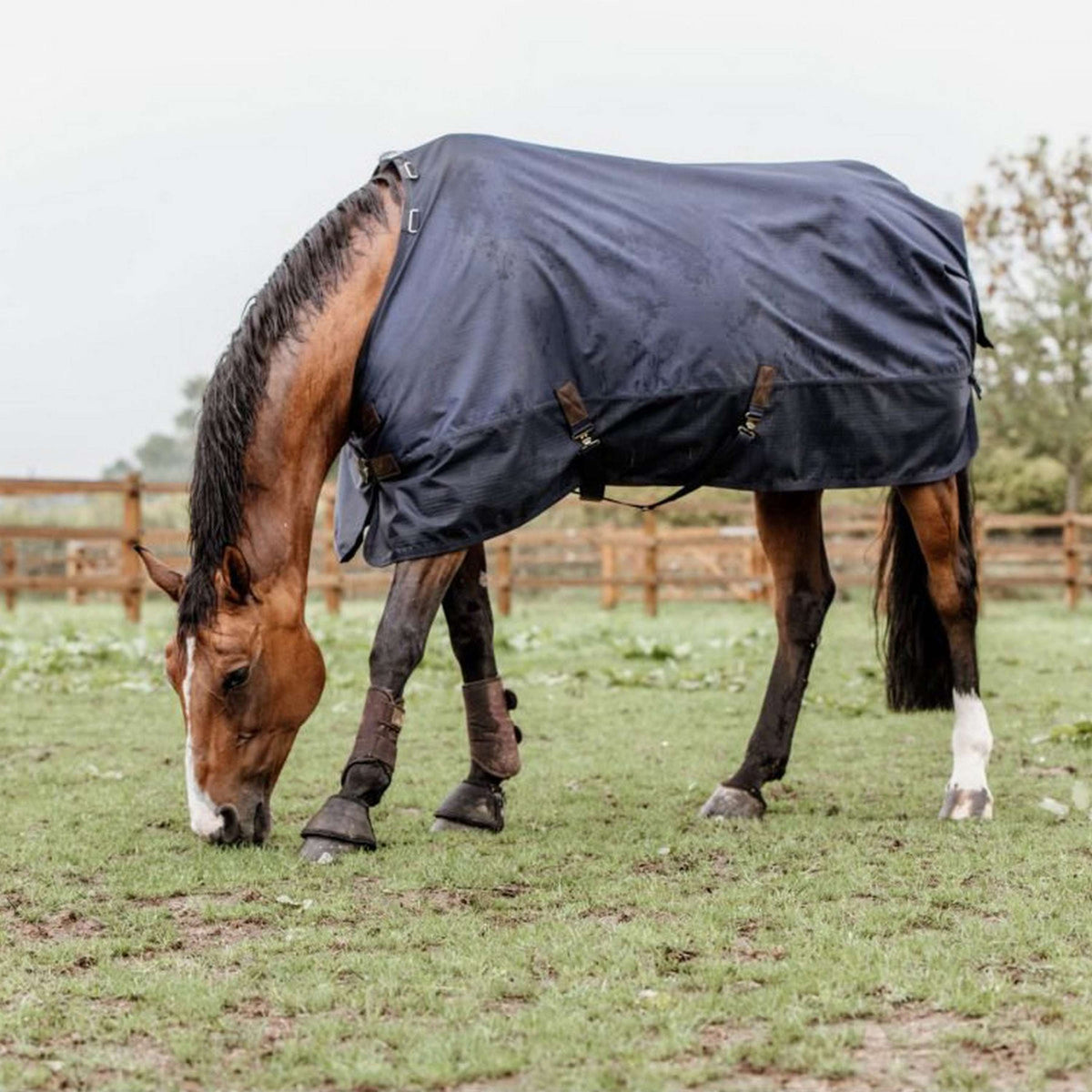 Kentucky Turnout Rug All Weather Waterproof Classic 150g Navy