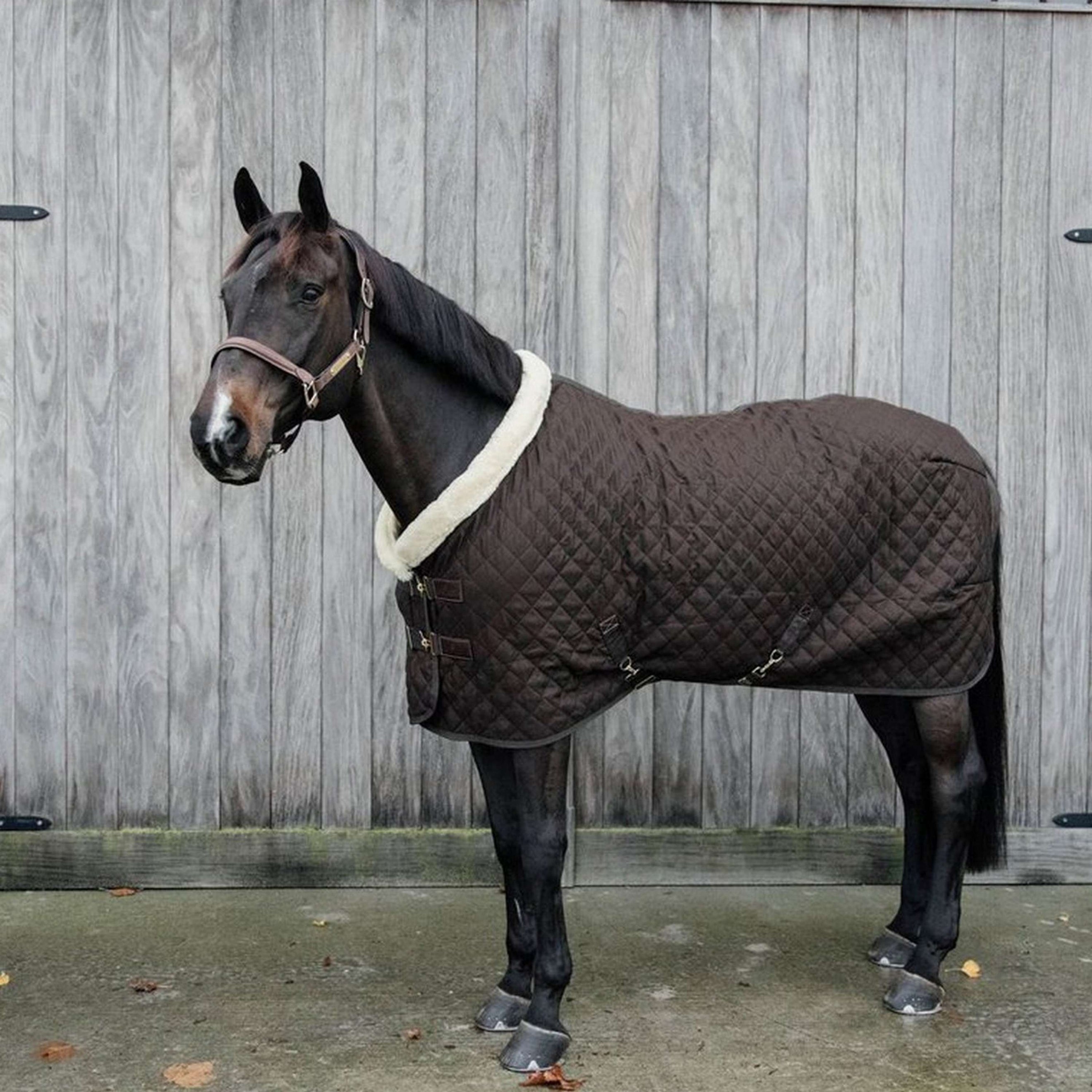 Kentucky Show Rug 160g Brown