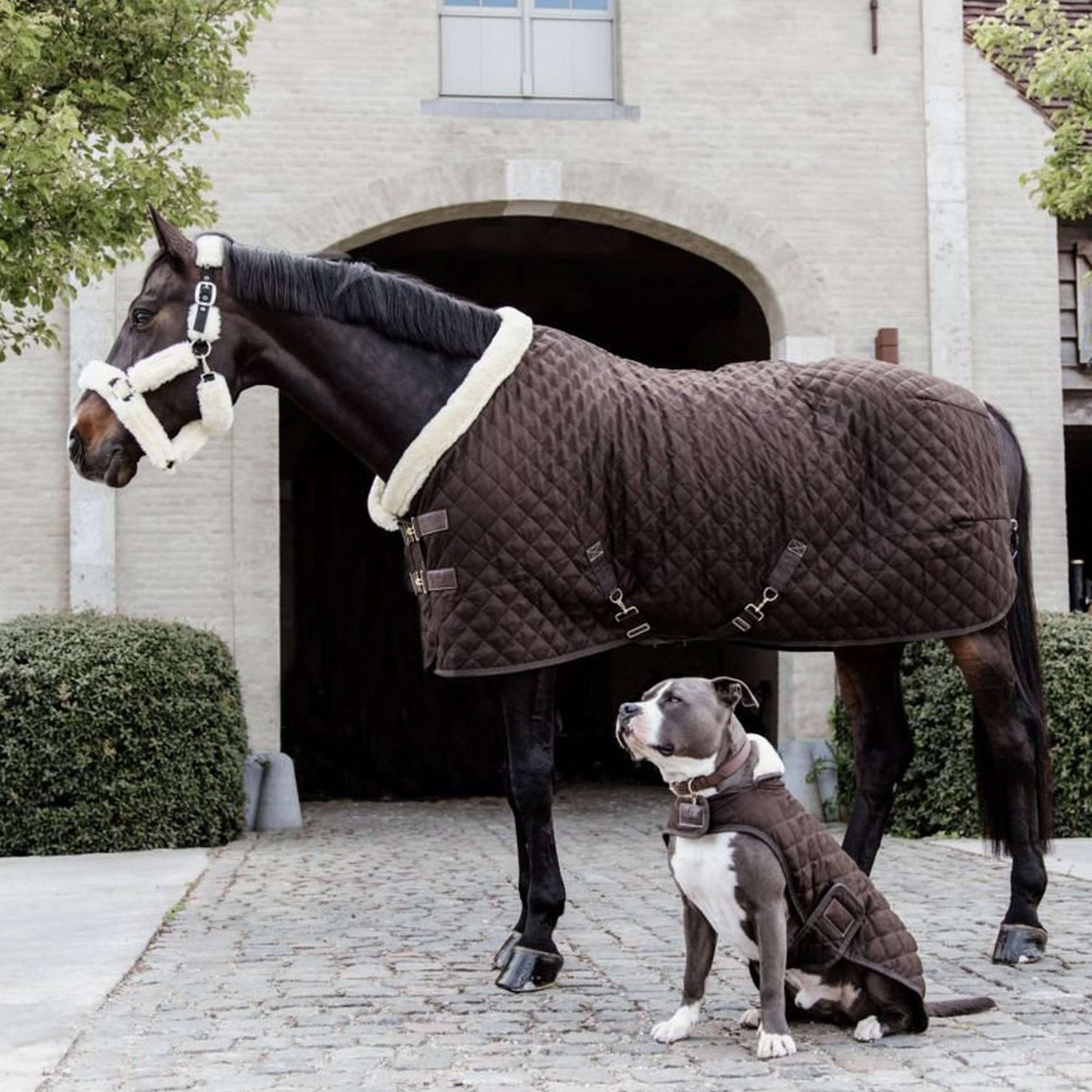 Kentucky Show Rug 160g Brown