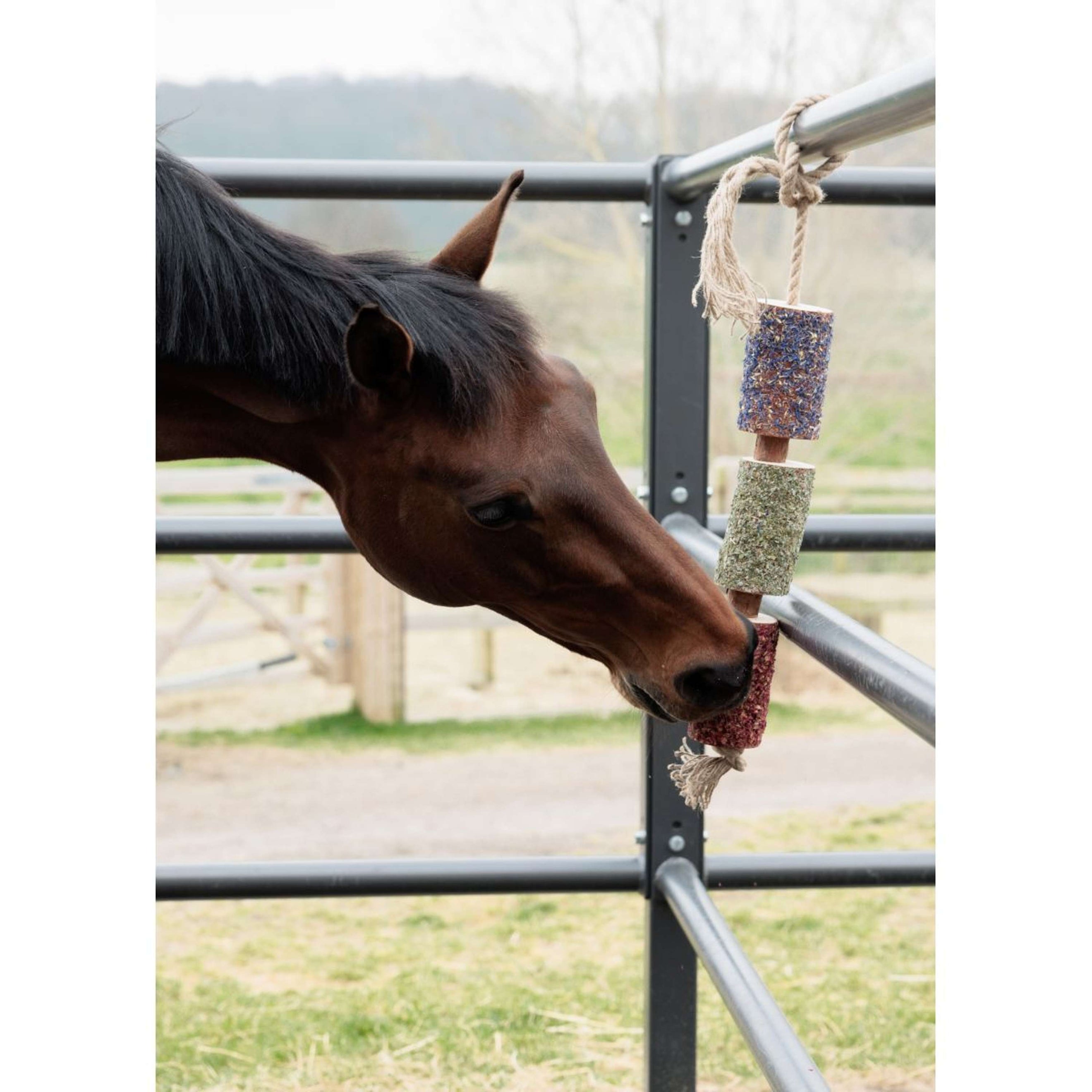 Grooming Deluxe by Kentucky Relax Horse Toy Wooden Freedom Grooming Deluxe by Kentucky Relax Horse Toy Wooden Freedom