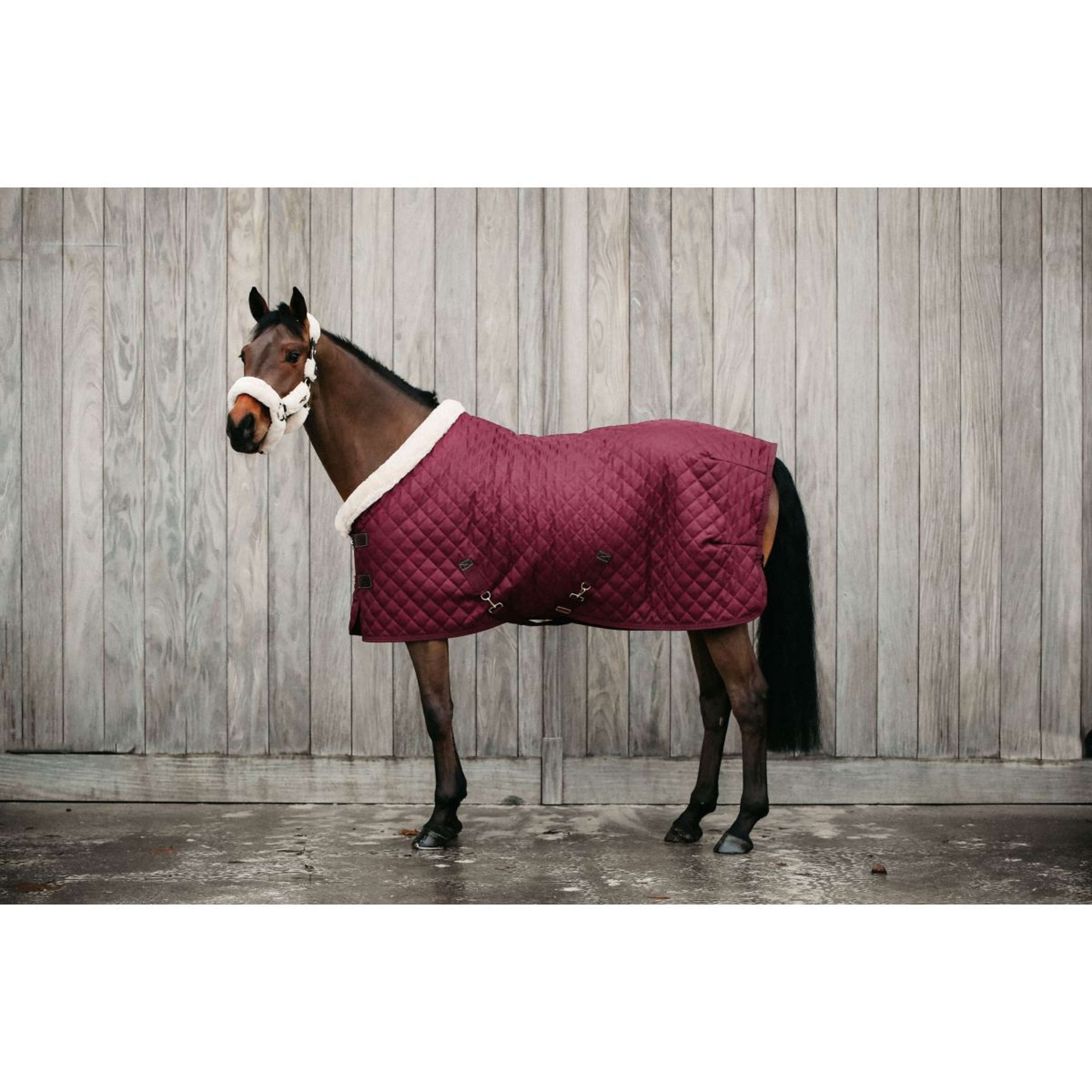 Kentucky Show Rug 160g Bordeaux
