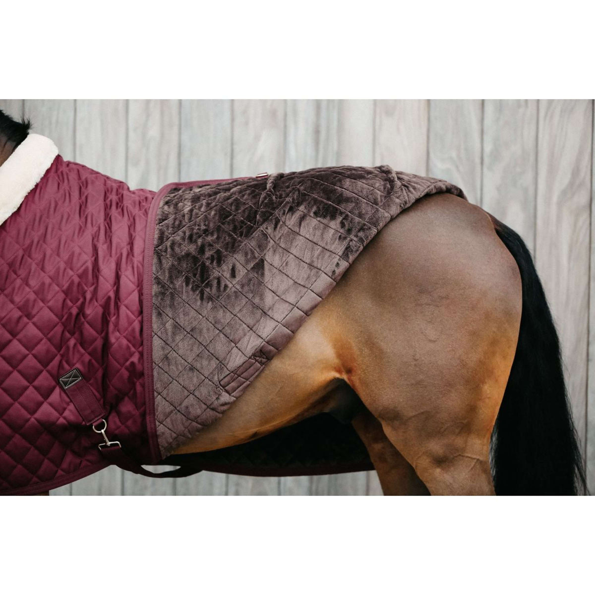 Kentucky Show Rug 160g Bordeaux