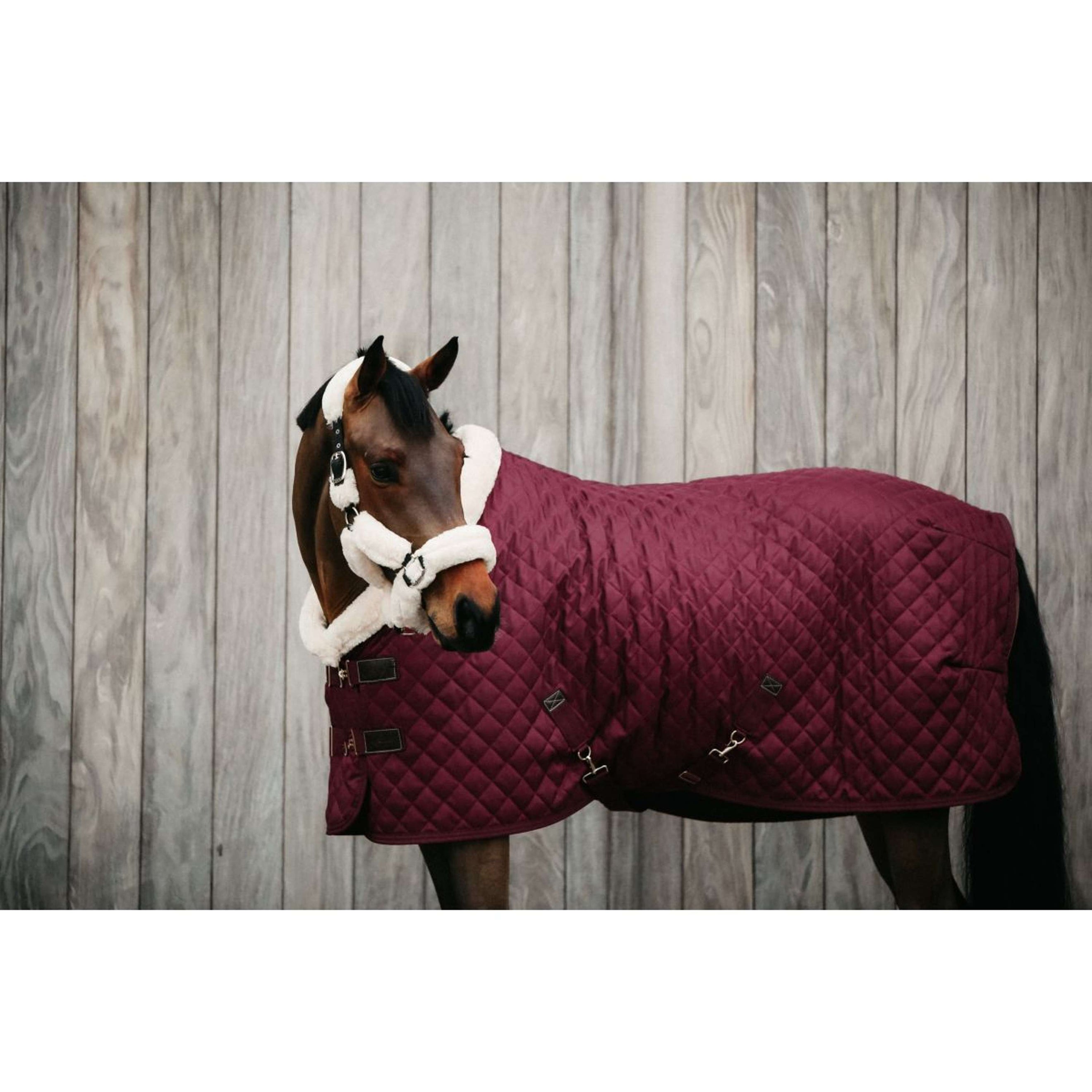 Kentucky Show Rug 160g Bordeaux Kentucky Show Rug 160g Bordeaux