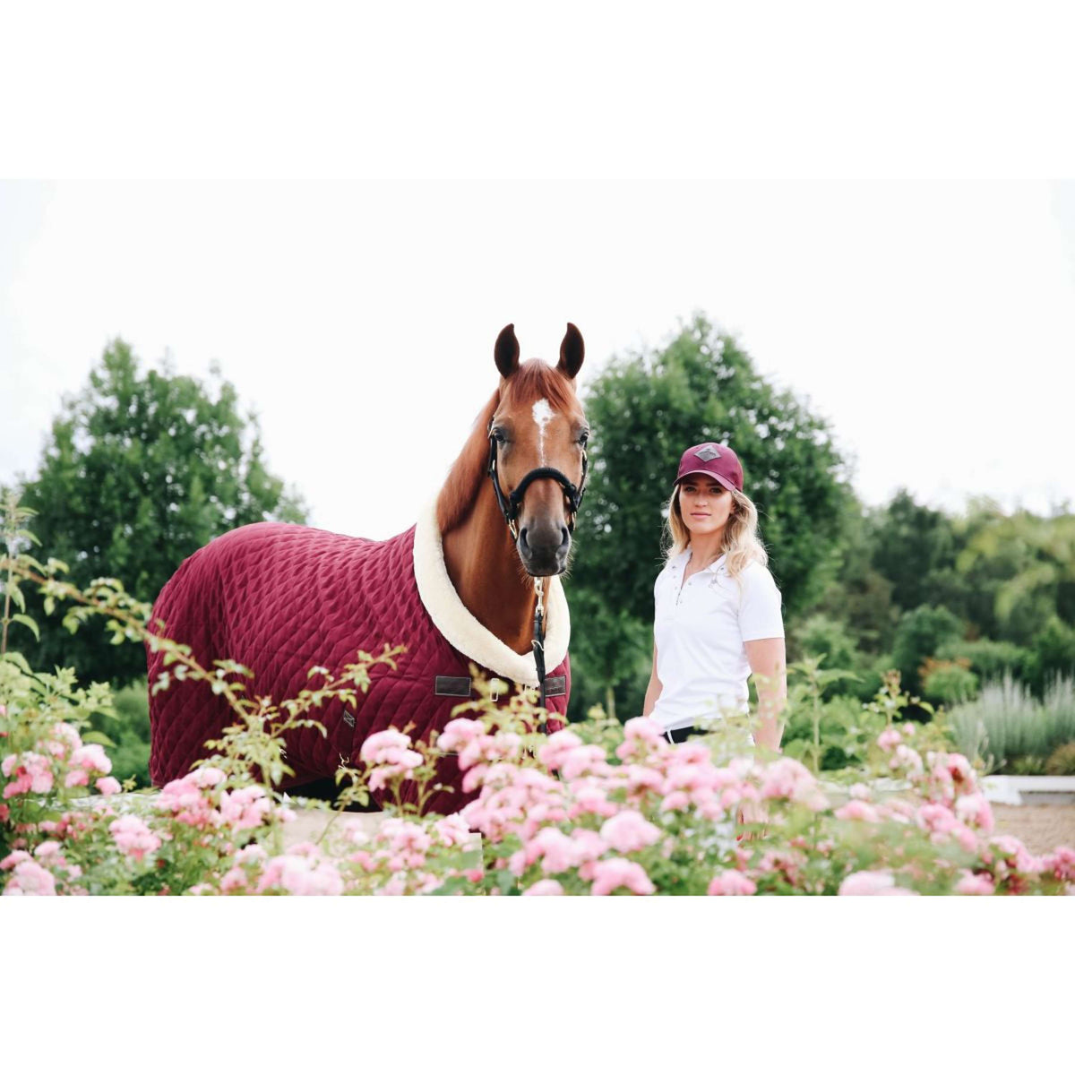 Kentucky Show Rug 160g Bordeaux