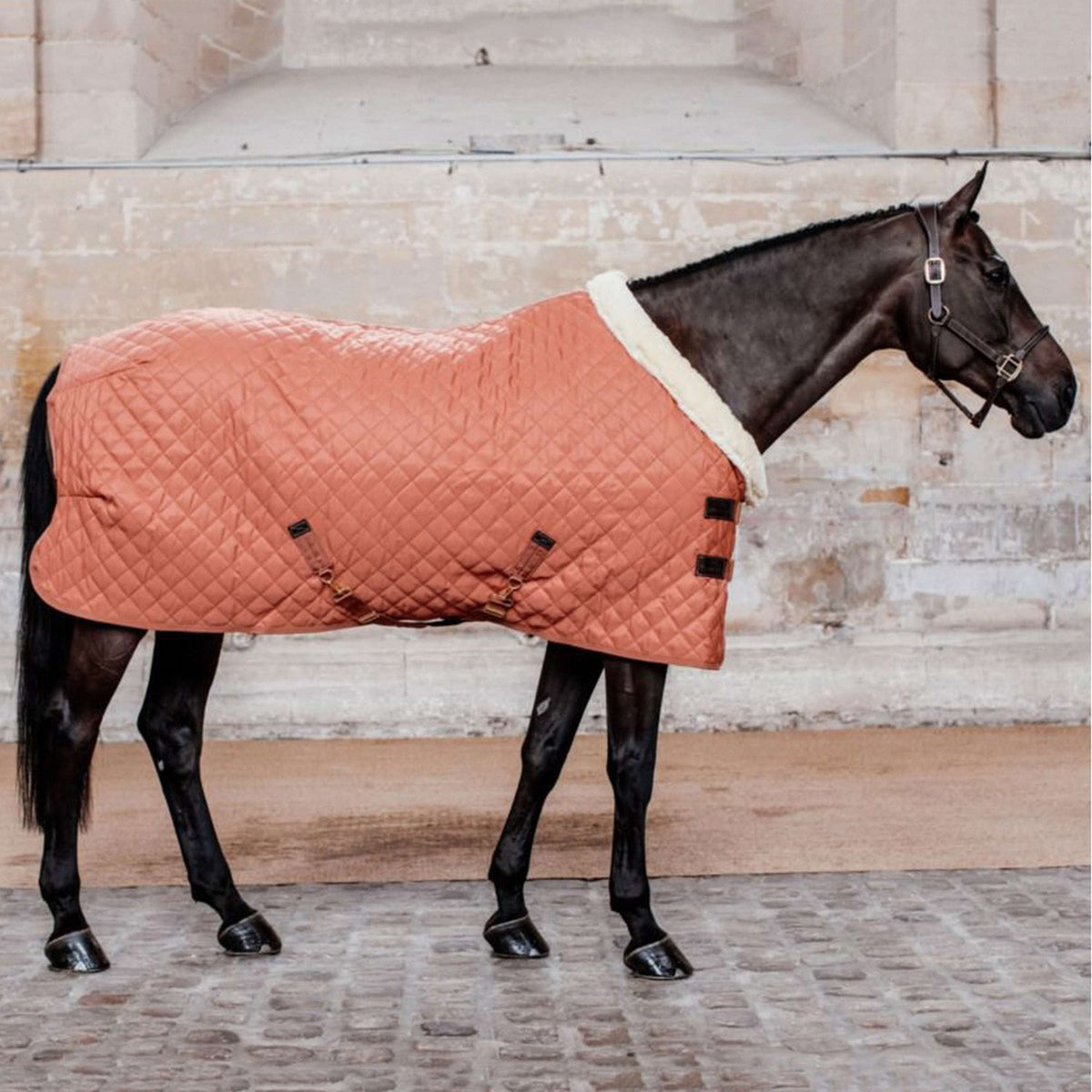 Kentucky Show Rug 160g Autumn Orange