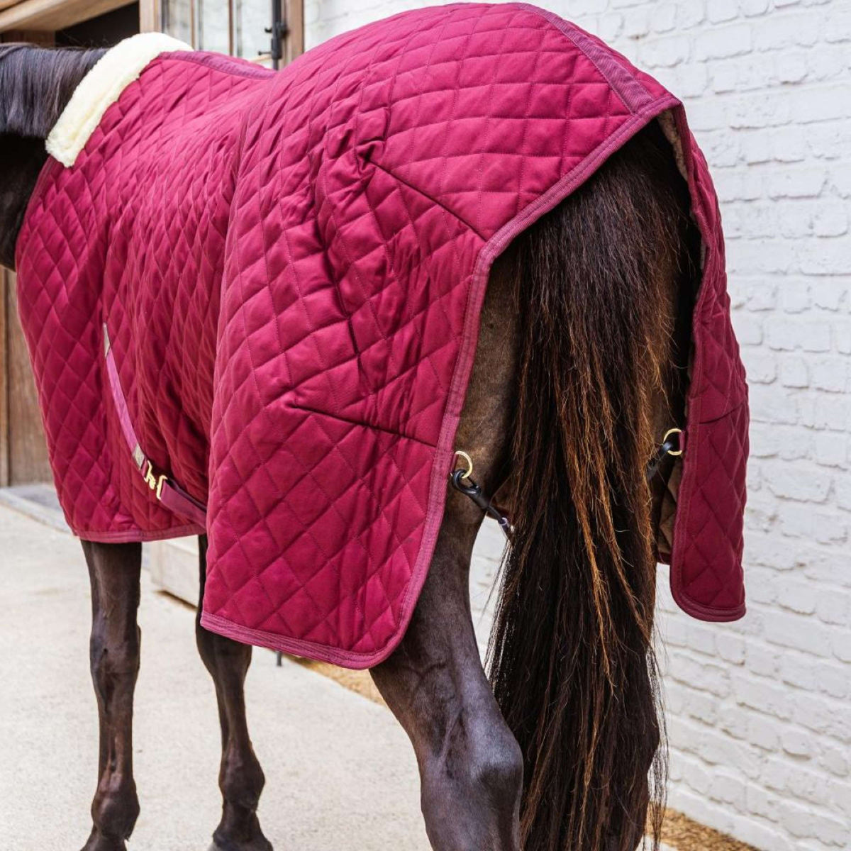 Kentucky Stable Rug 400g Bordeaux