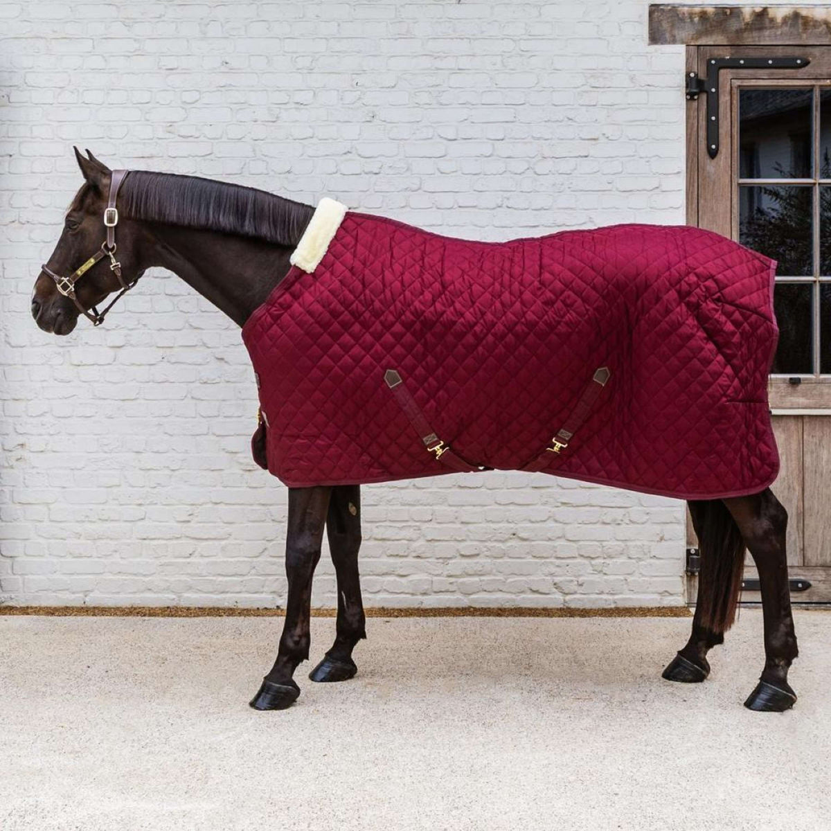 Kentucky Stable Rug 400g Bordeaux