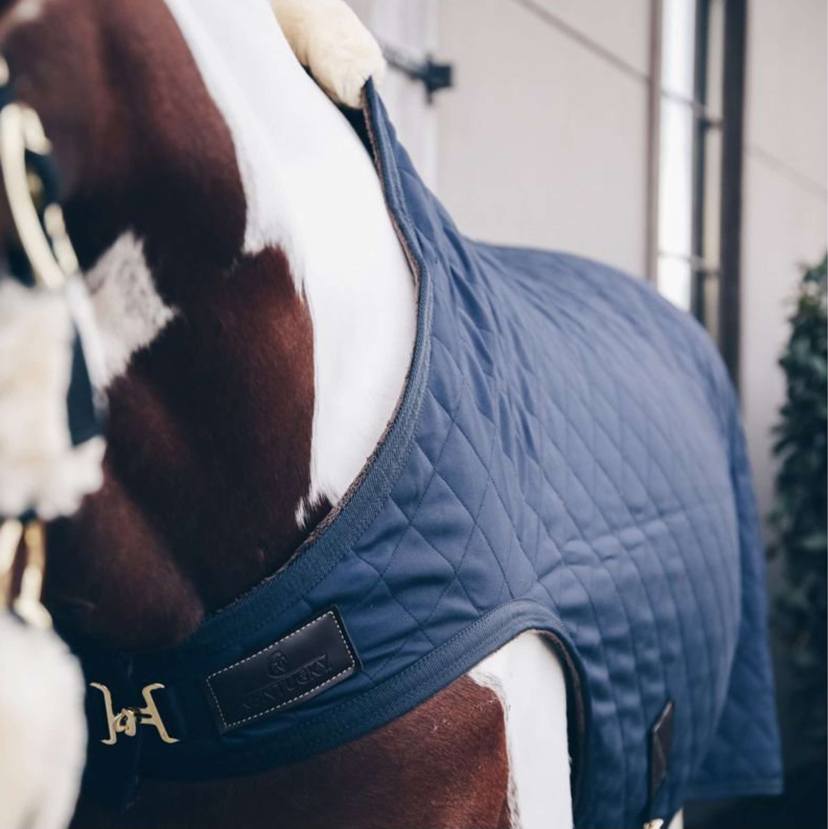 Kentucky Step Mill Rug 160g Navy Kentucky Step Mill Rug 160g Navy