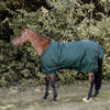 Kentucky Turnout All Weather 160g Dark green