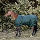 Kentucky Turnout All Weather 160g Dark green