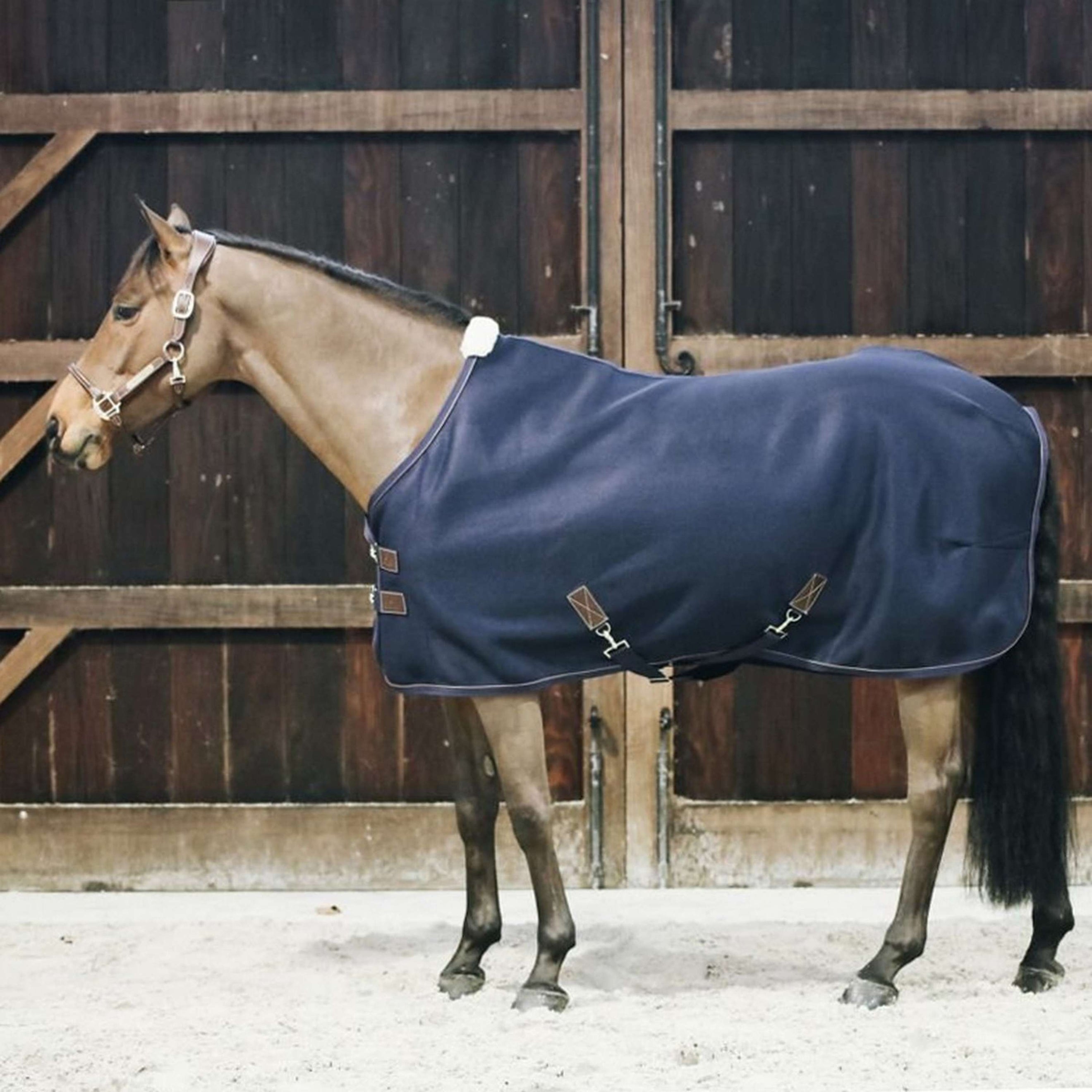 Kentucky Cooler Rug 3D Spacer Navy