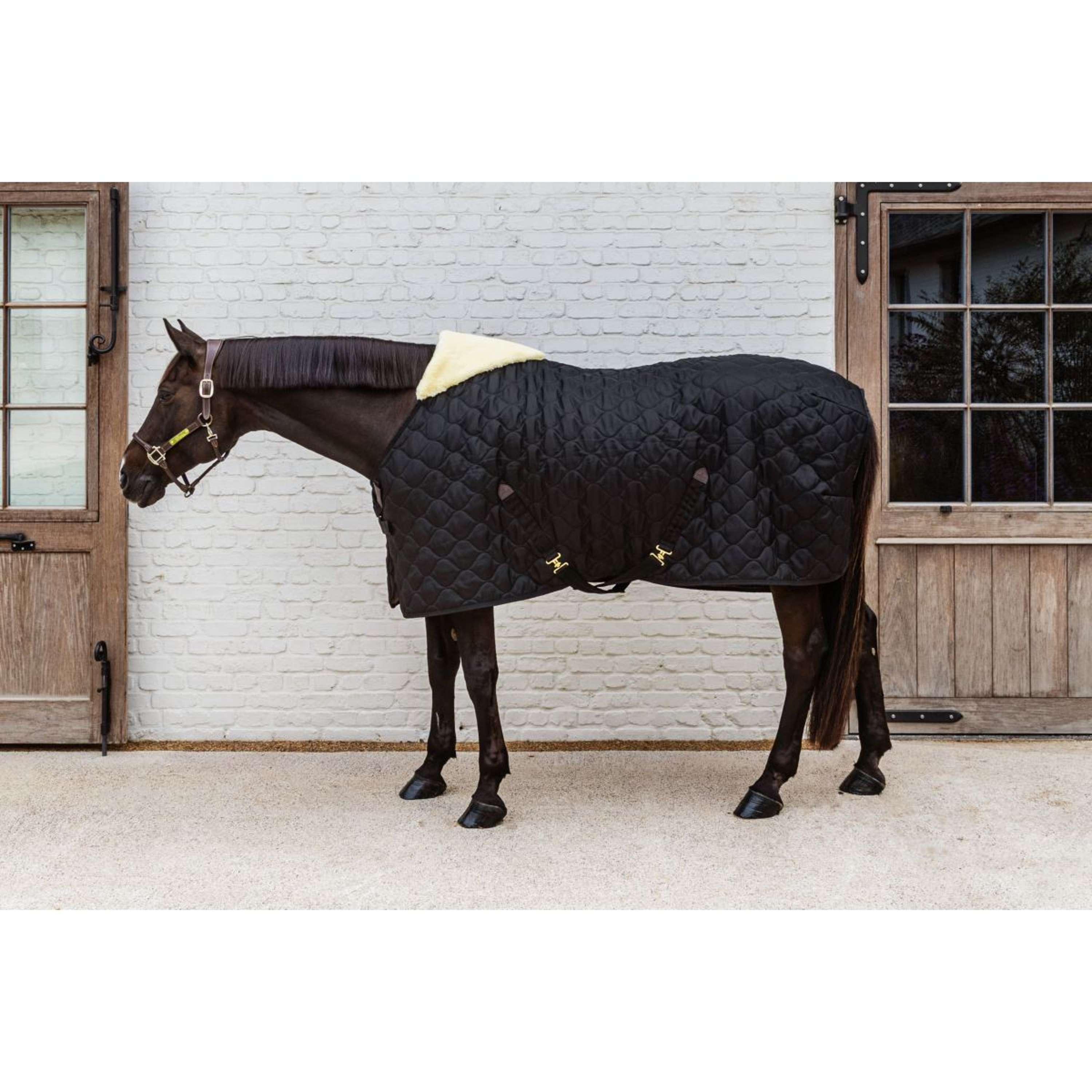 Kentucky Stable Rug Comfort 100g Black