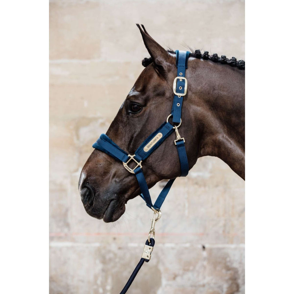 Kentucky Halter Velvet Navy