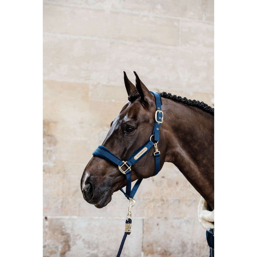 Kentucky Halter Velvet Navy