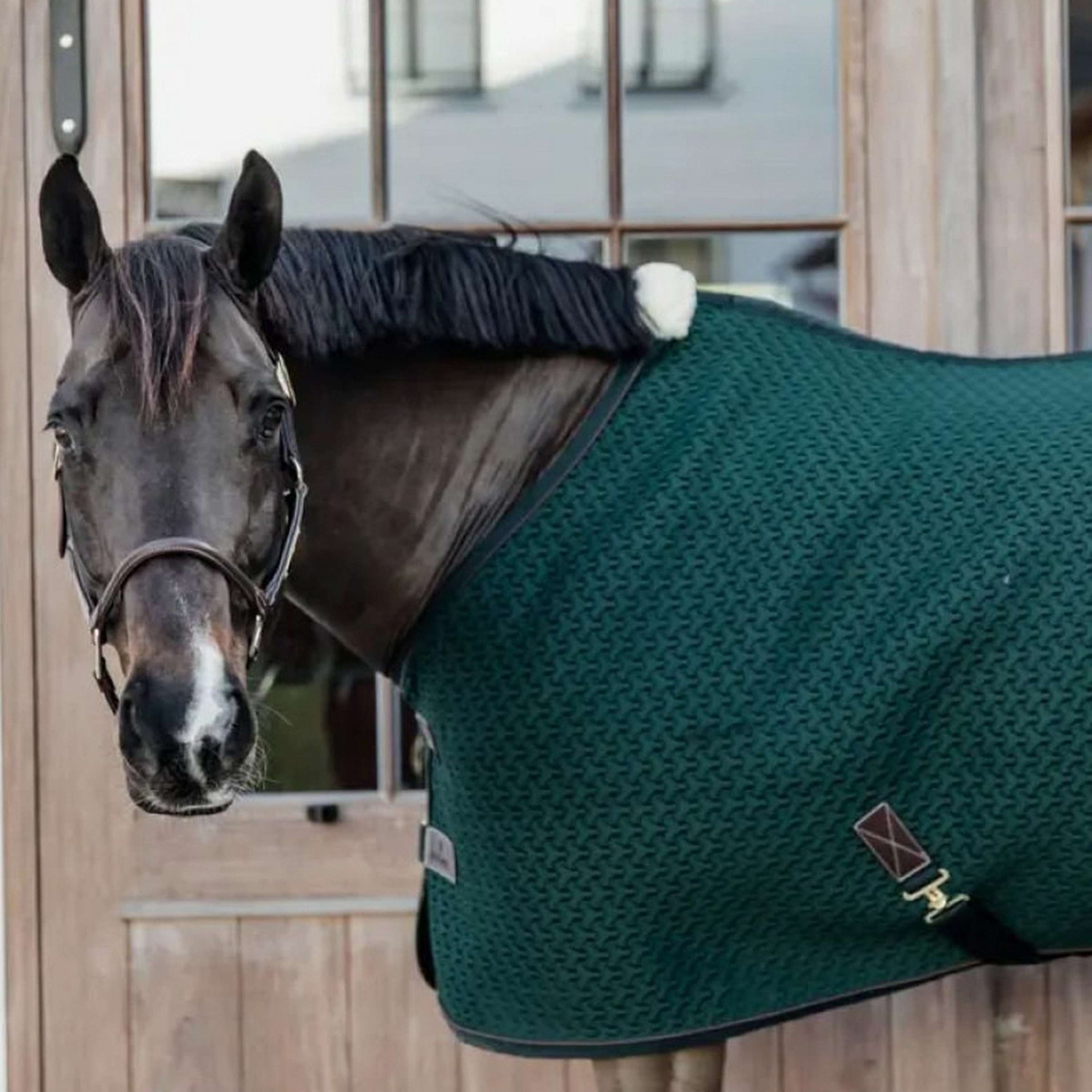 Kentucky Cooler Rug 4D Spacer Pine Green