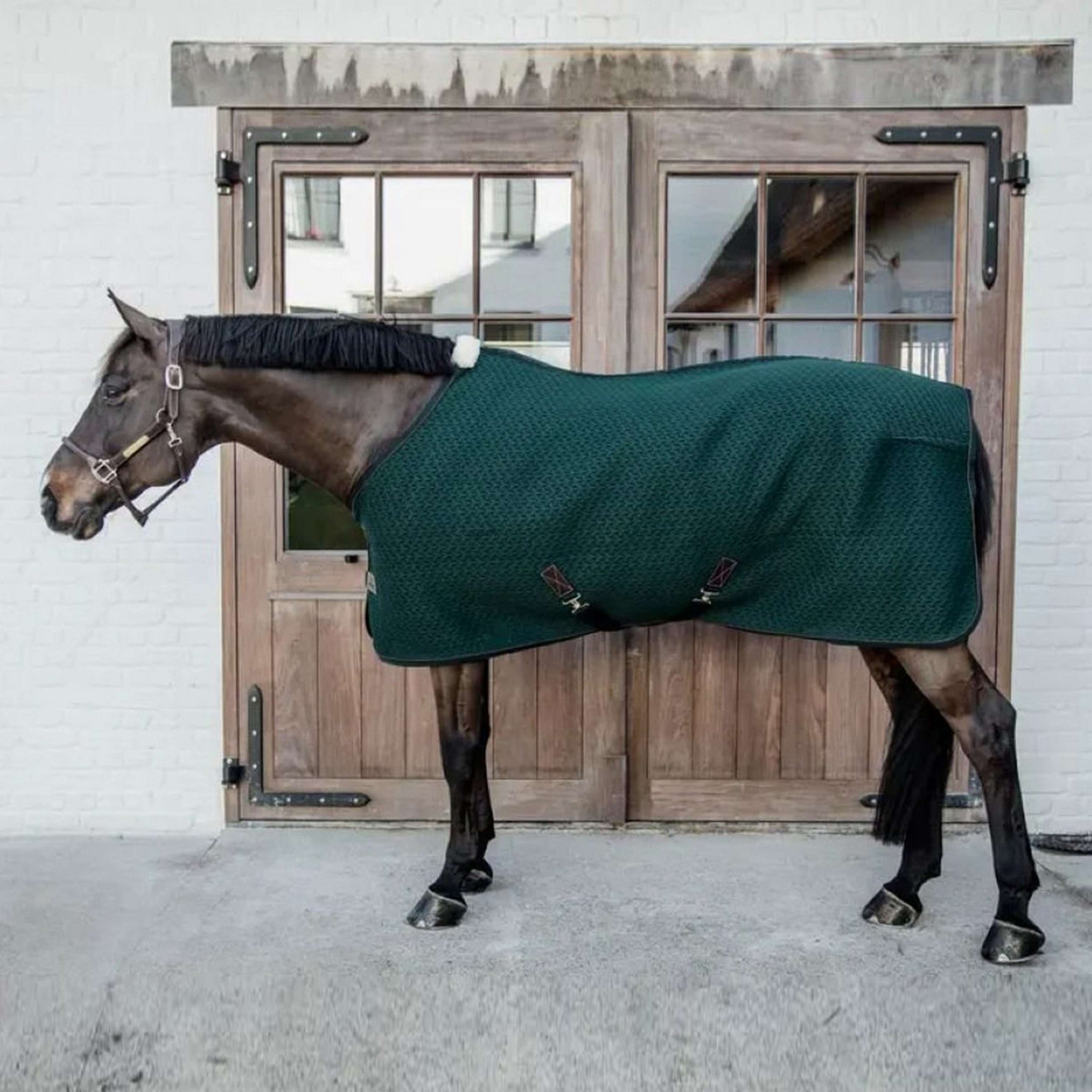 Kentucky Cooler Rug 4D Spacer Pine Green